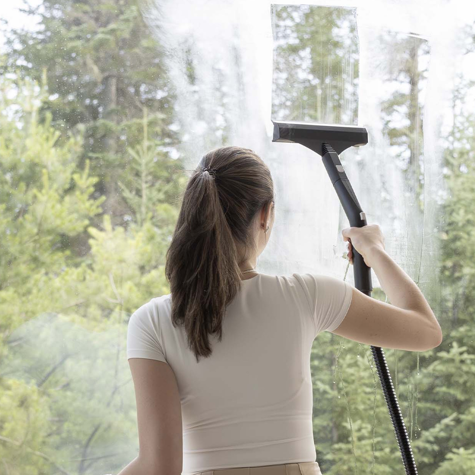 Dupray Neat Plus with Advanced Cleaning Pack