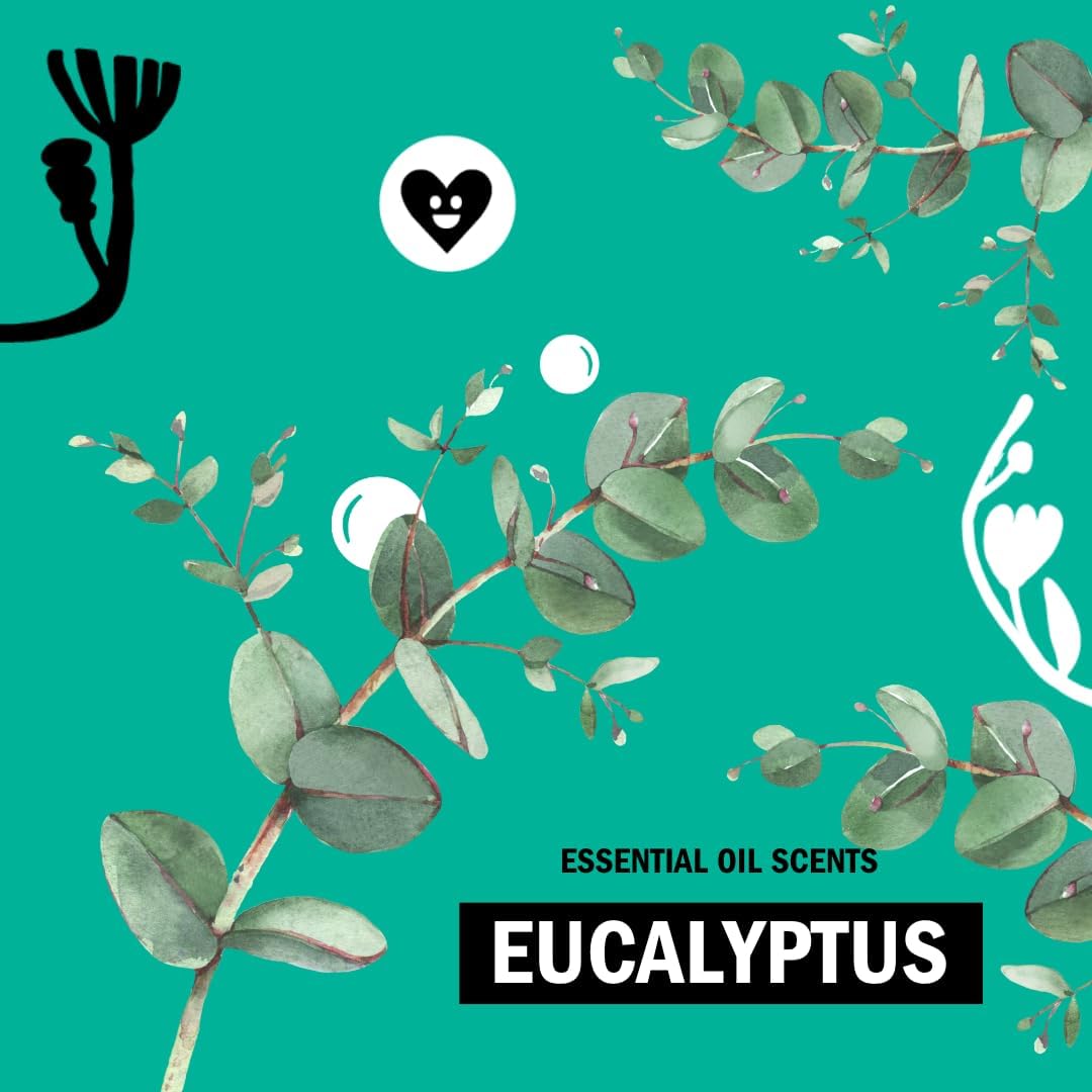 Molly's Suds Original Laundry Detergent Powder | Natural Laundry Detergent Powder for Sensitive Skin | Earth-Derived Ingredients, Stain Fighting | 120 Loads (Unscented)