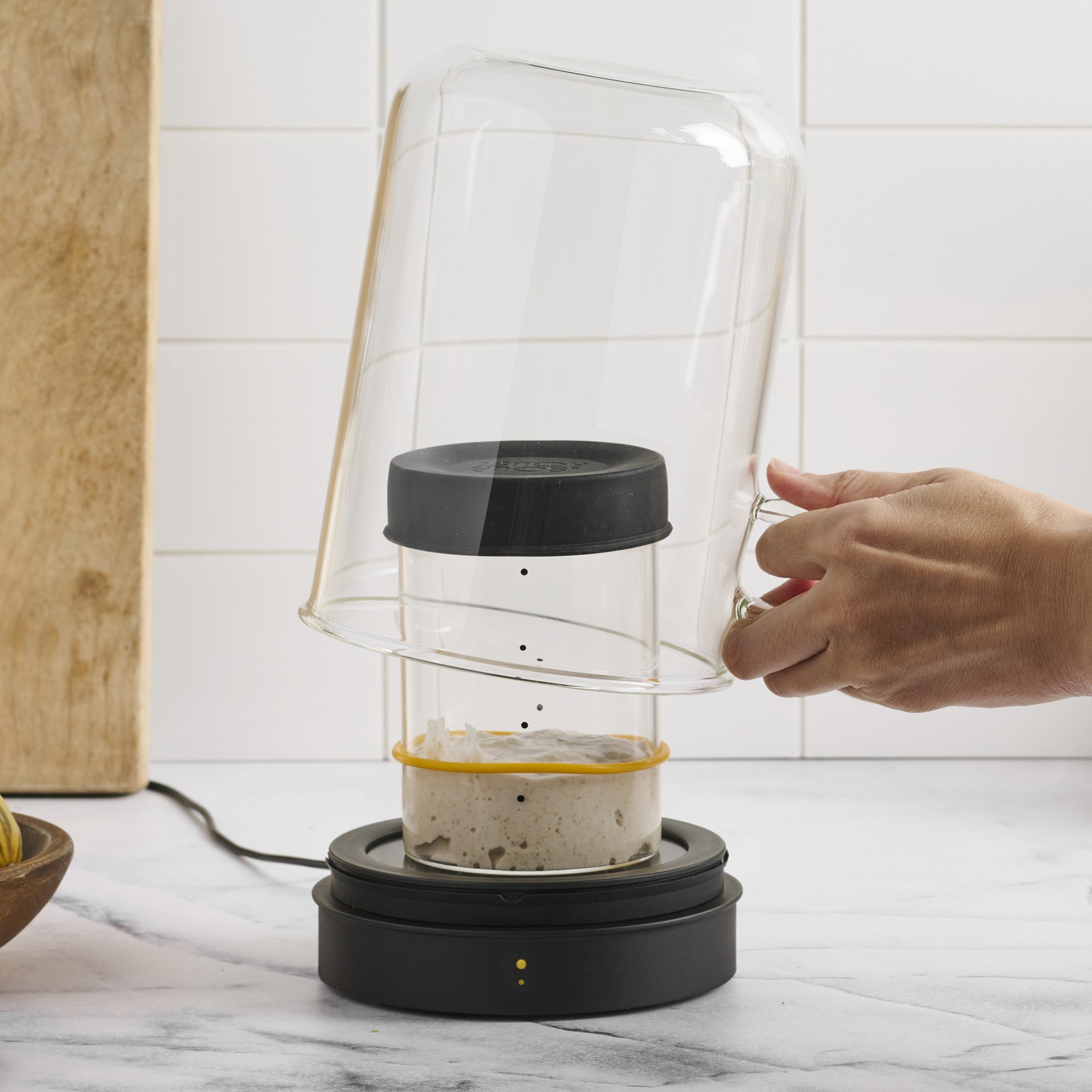 Goldie by Sourhouse™ with Pint & Quart Starter Jars