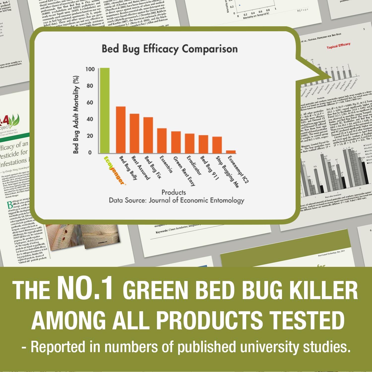 Bed Bug Killer 16 oz EcoVenger by EcoRaider, 100% Kill Efficacy, Bedbugs & Mites, Eggs & The Resistant, Lasting Protection, USDA BIO-Certified, Plant Extract Based & Non-Toxic, Child & Pet Safe