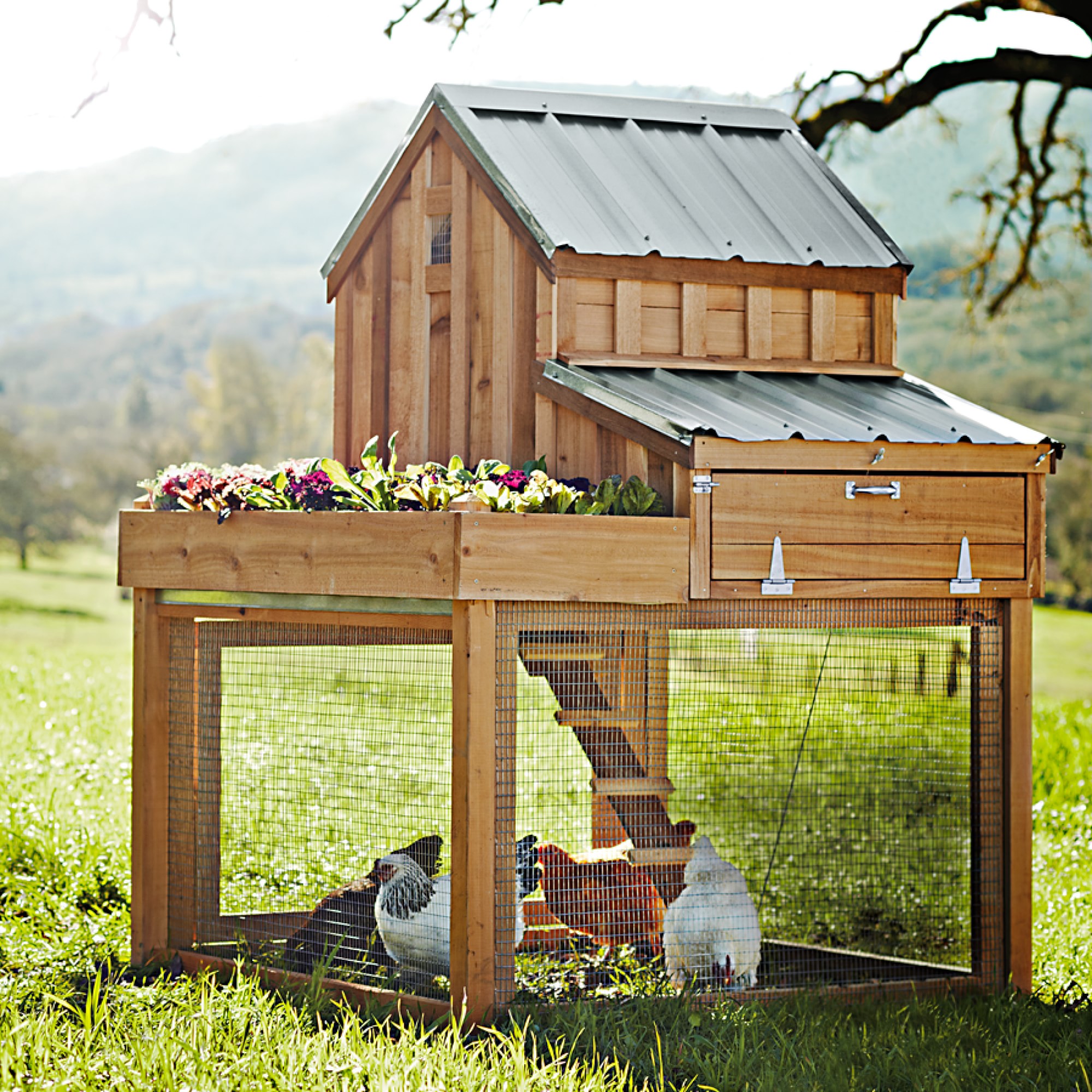 Cedar Chicken Coop & Run with Planter