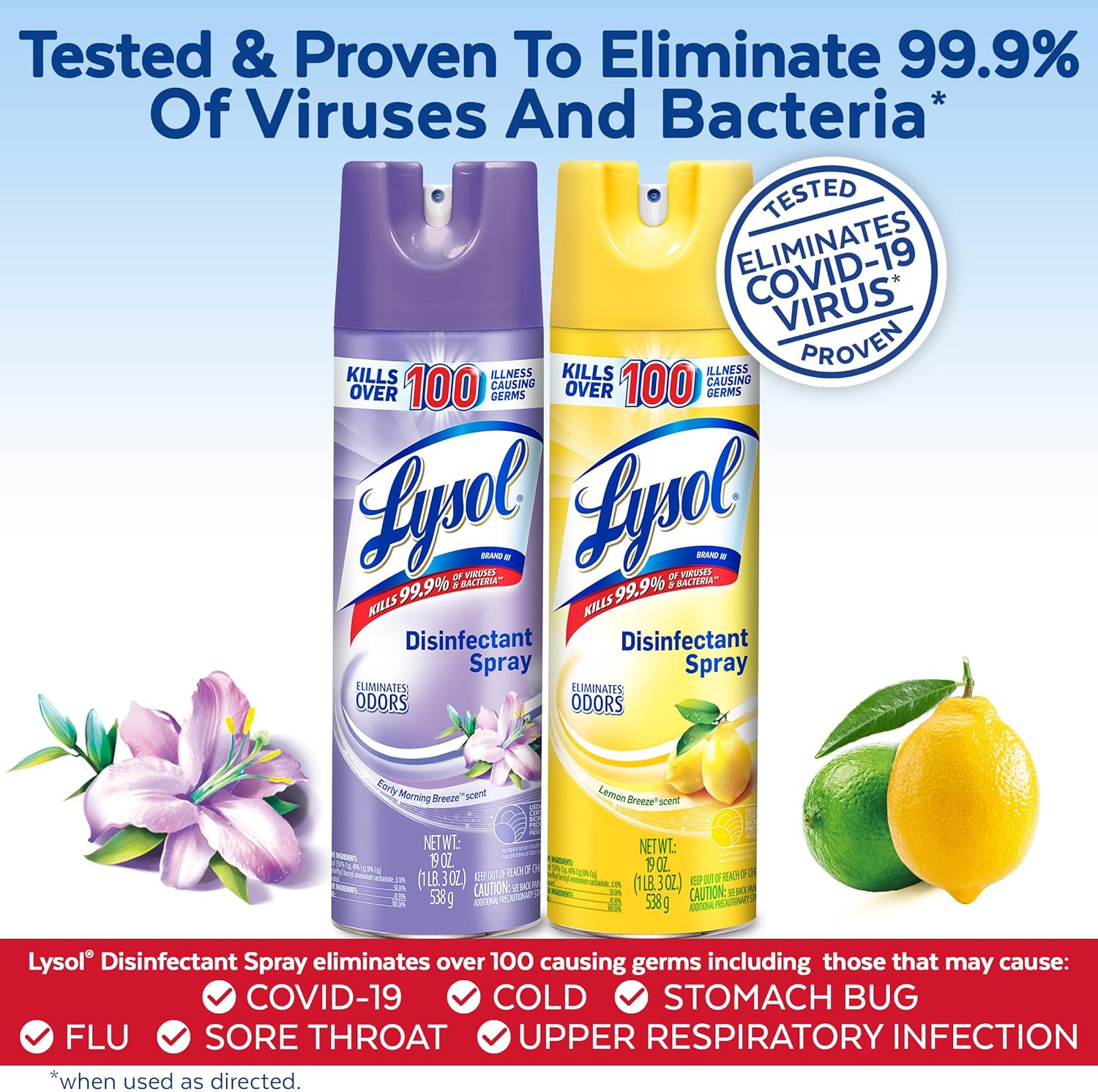 Lysol Disinfectant Spray, Sanitizing And Antibacterial Spray, For Disinfecting And Deodorizing, Early Morning Breeze, 19 Fl Oz (Pack Of 2), Packaging May Vary