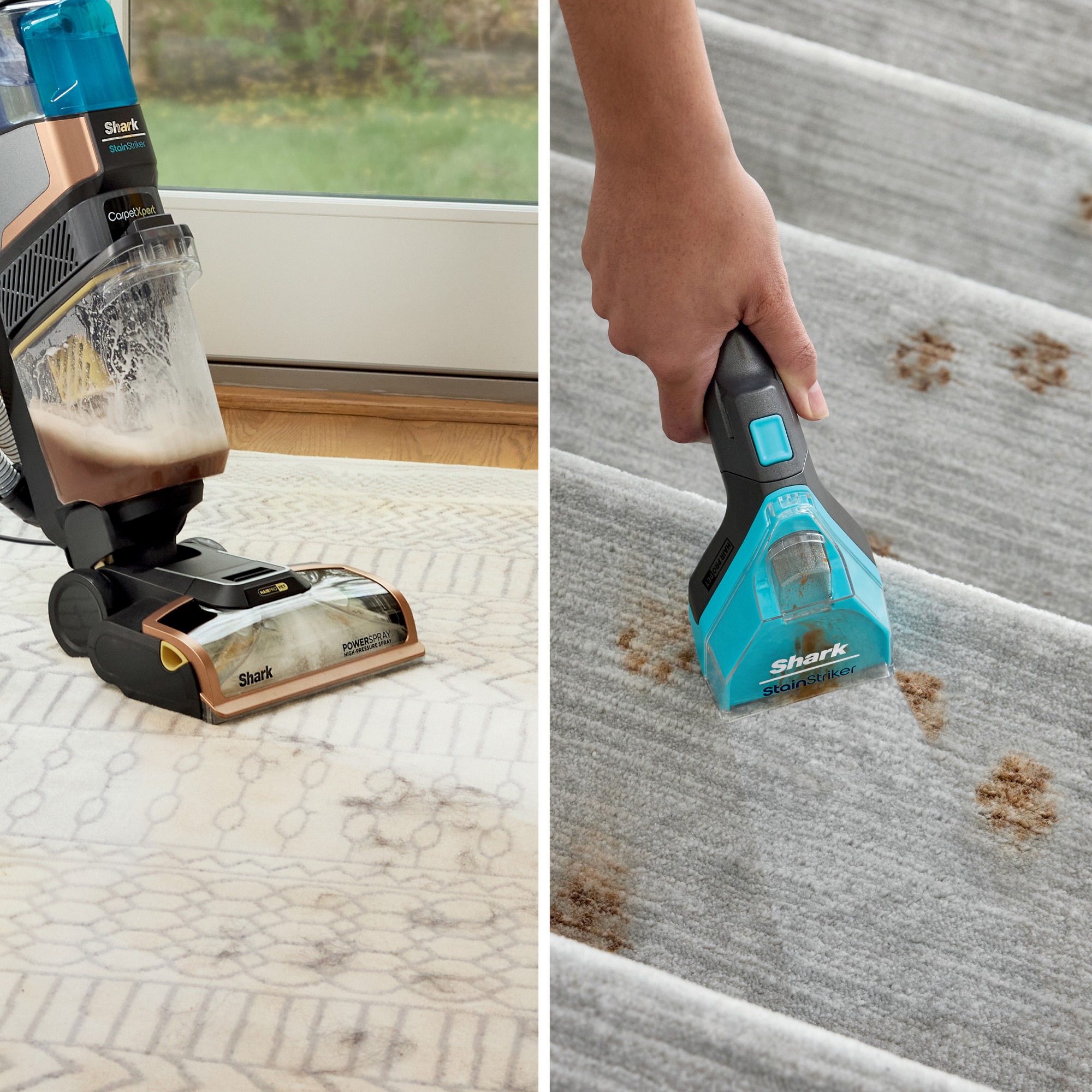 Shark® CarpetXpert™ with Stainstriker™ Upright Deep Carpet Cleaner EX301
