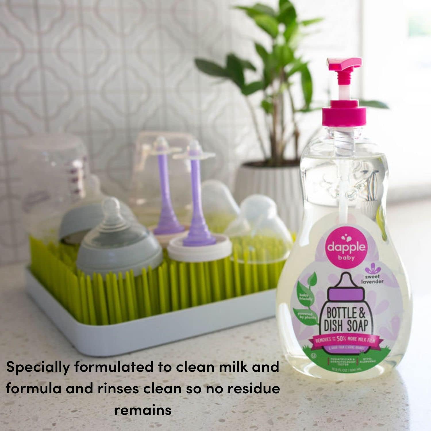 Dapple Baby, Bottle and Dish Soap Dish Liquid Plant Based Hypoallergenic 1 Pump Included, Packaging May Vary, Fragrance Free, 16.9 Fl Oz (Pack of 3)