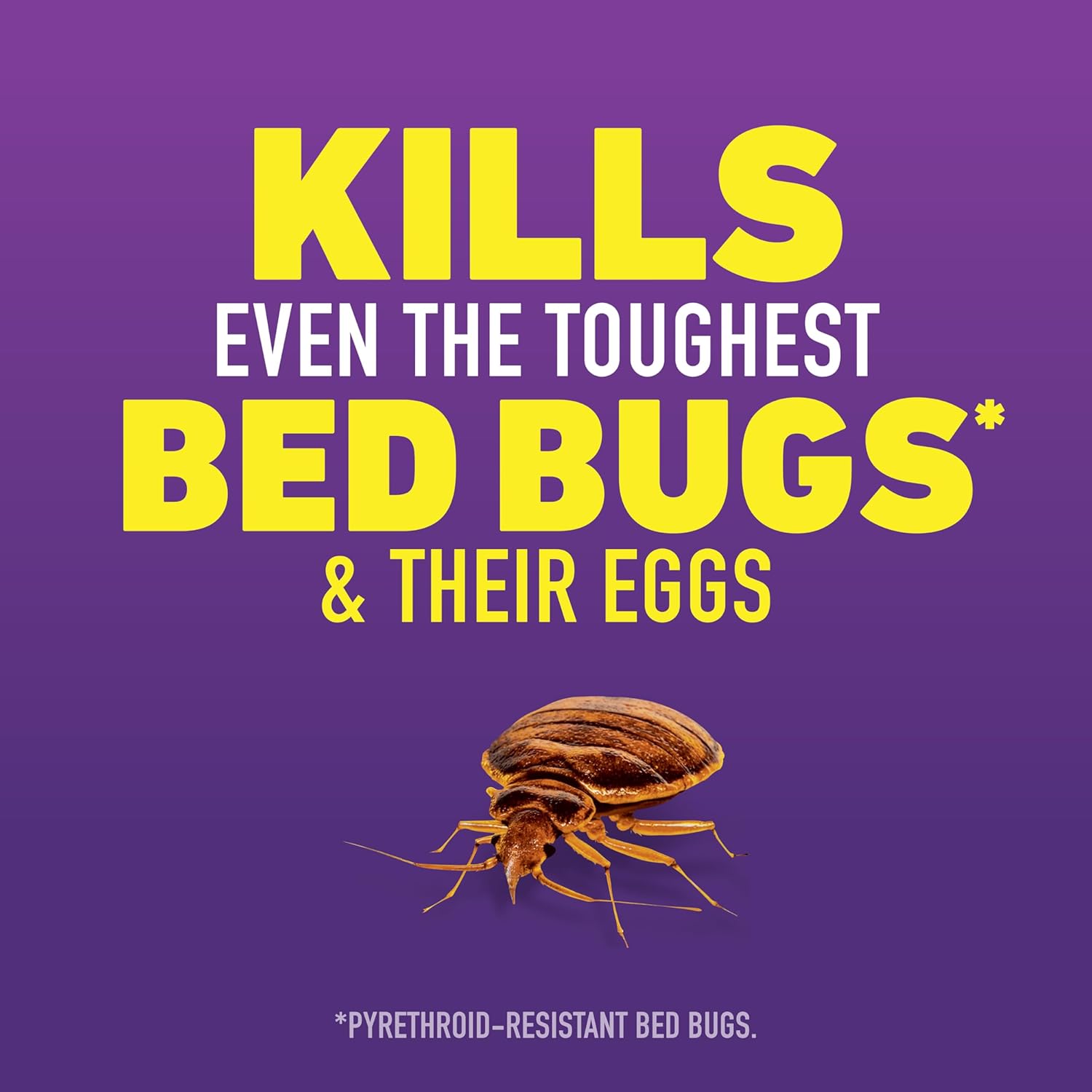 Ortho Home Defense Max Bed Bug, Flea and Tick Killer - With Ready-to-Use Comfort Wand, Kills Bed Bugs and Bed Bug Eggs, Bed Bug Spray Also Kills Fleas and Ticks, 1 gal.