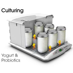 Brod & Taylor Folding Proofer & Slow Cooker