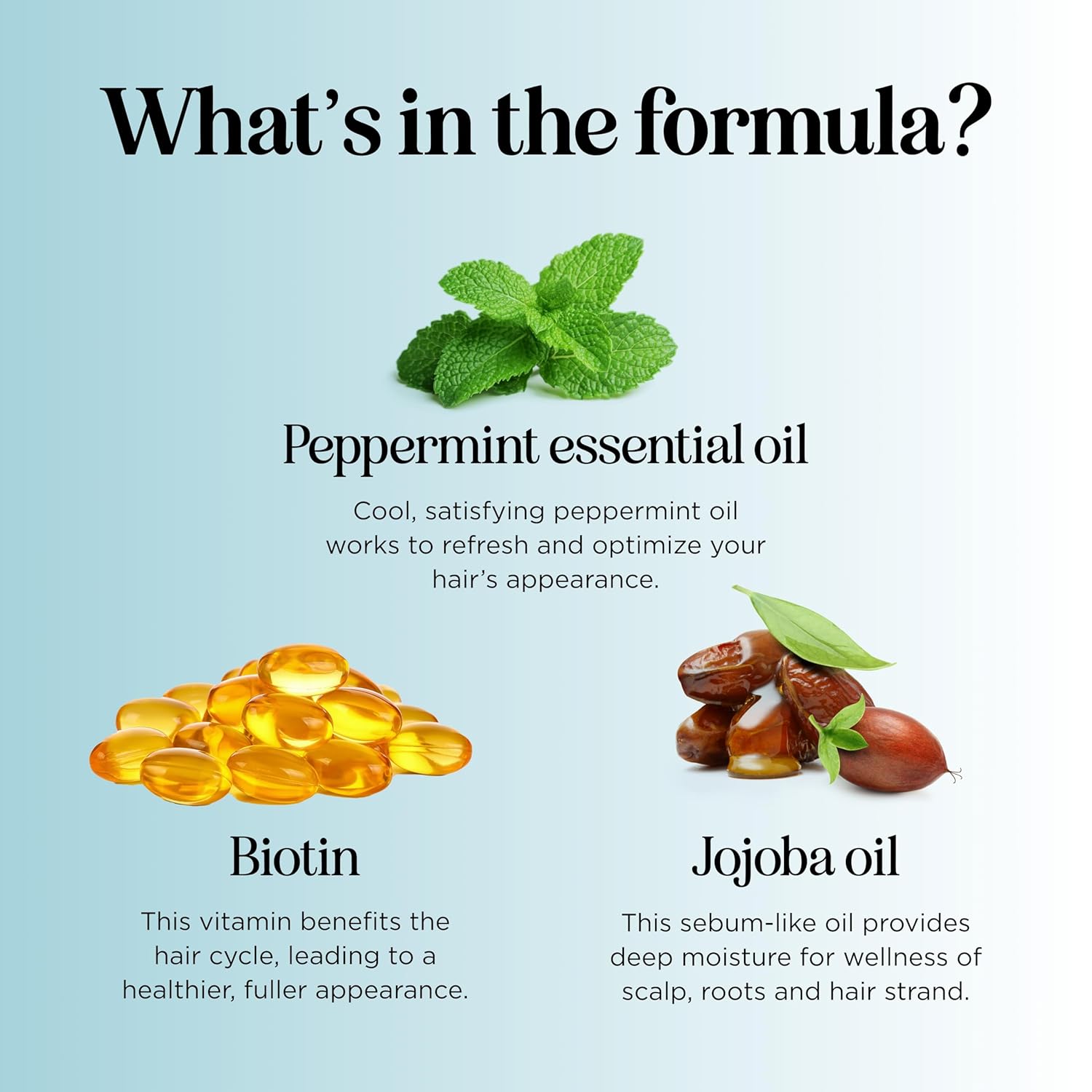 Rosemary and Biotin Shampoo for Thinning Hair - Vegan Volumizing Shampoo for Fine Hair with Argan and Tea Tree Oil - Paraben Silicone and Sulfate Free Shampoo for Dry Damaged Weak and Thin Hair Care