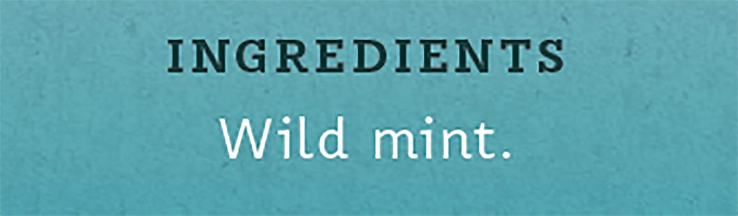 Stash Tea Double Bergamot Earl Grey Black Tea, Box of 100 Tea Bags