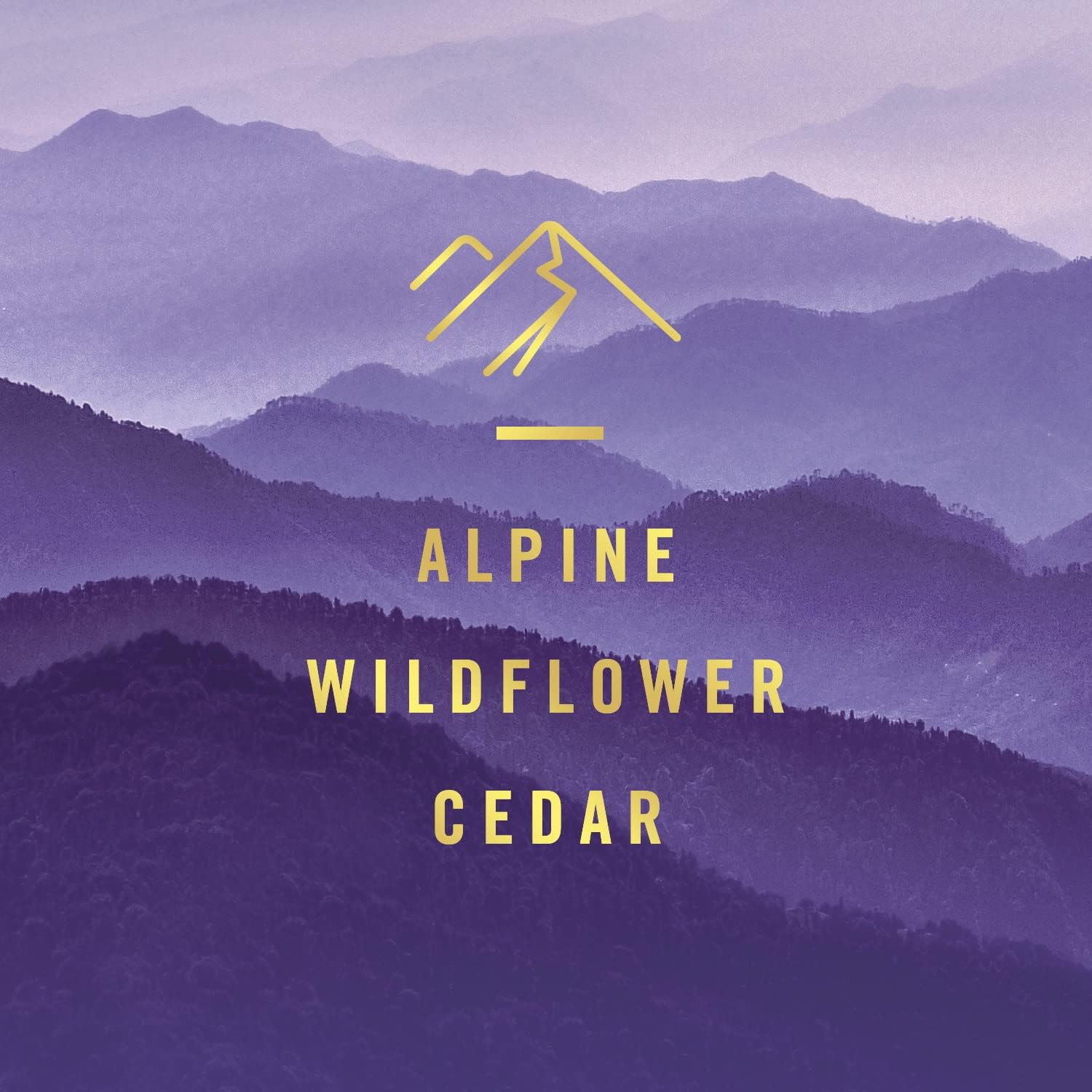 Febreze Touch Fabric Spray, Sneaker Balls Alternative, Couch Cleaner, Refresher Ocean & Mountain, 16.9 oz, Pack of 2,33.8 Fl Oz