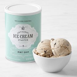 Williams Sonoma Ice Cream Starter, Mint Chip