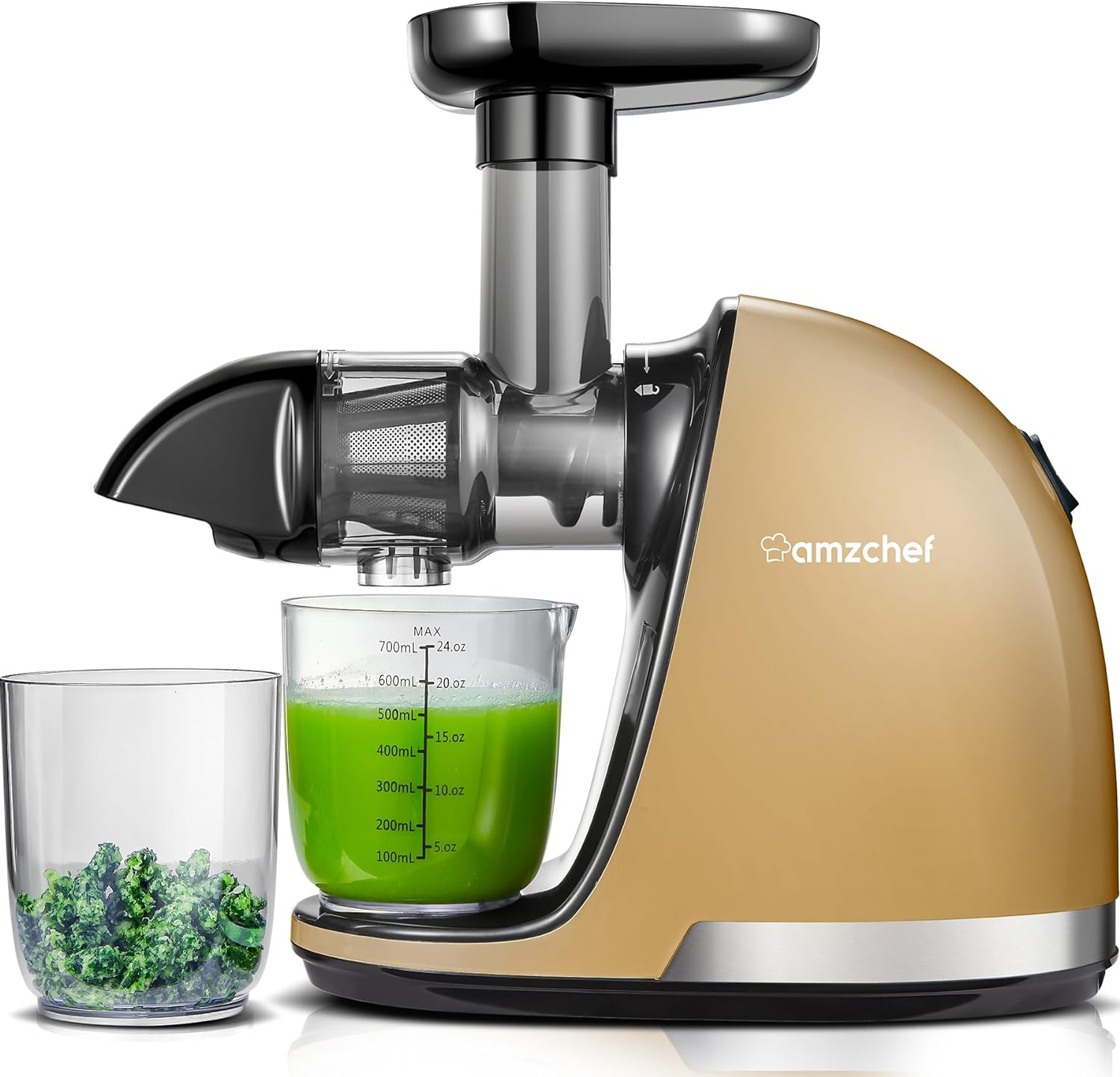 Masticating Juicer Machines, AMZCHEF Slow Cold Press Juicer with Reverse Function, High Juice Yield, Easy Clean with Brush,Recipes for High Nutrient Fruits and Vegetables, Gray(Updated)