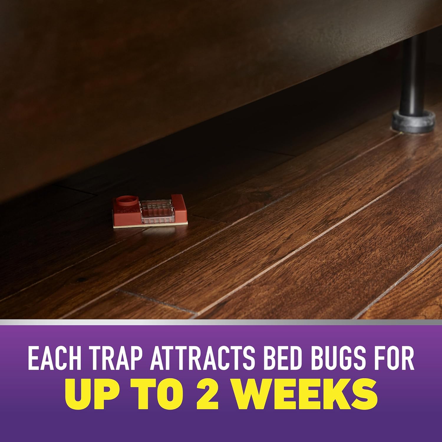 Ortho Home Defense Max Bed Bug, Flea and Tick Killer - With Ready-to-Use Comfort Wand, Kills Bed Bugs and Bed Bug Eggs, Bed Bug Spray Also Kills Fleas and Ticks, 1 gal.