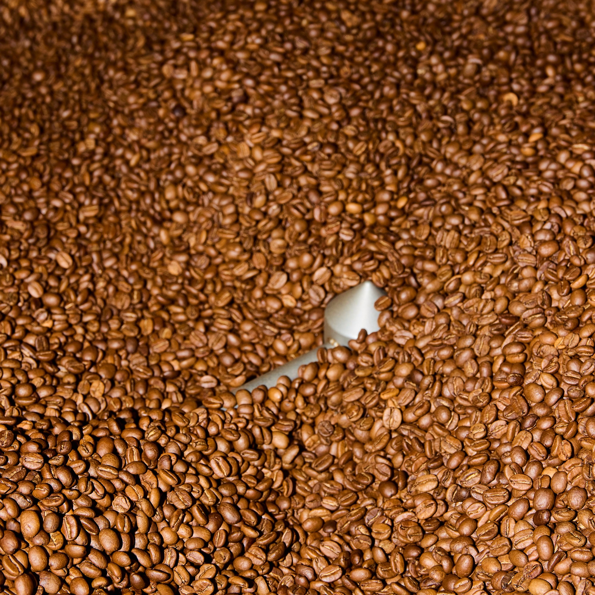 Verve Coffee Roasters Streetlevel Blend Coffee Beans