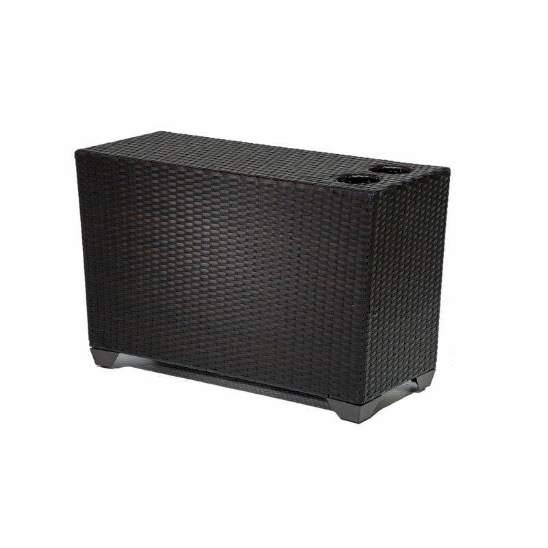 Tegan Wicker/Rattan 4 - Person Seating Group with Cushions