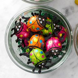 Williams Sonoma German Chocolate Ladybugs