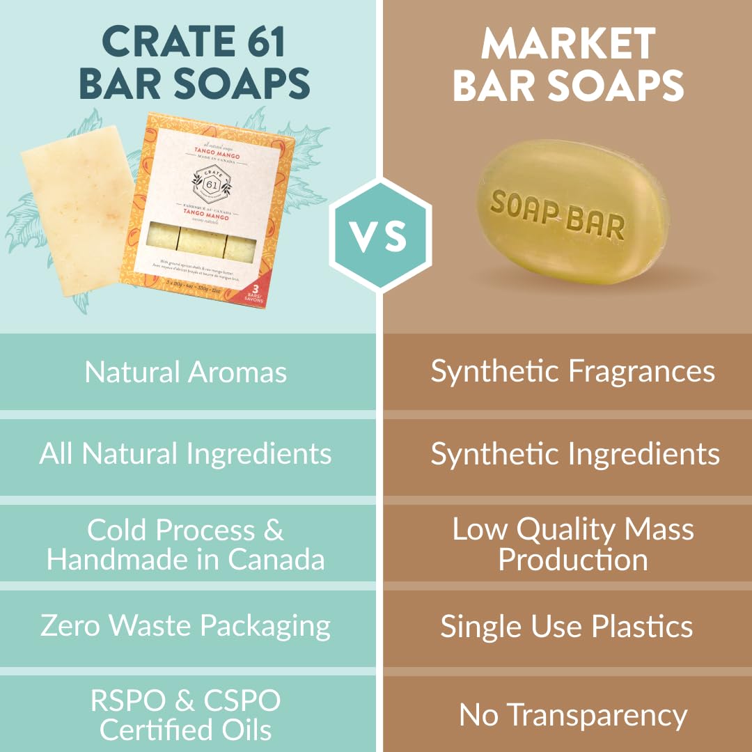 Handmade Vegan Natural Bar Soap Cold Pressed For Face And Body, With Premium Essential Oils, Eucalyptus & Peppermint For Men And Women 3 Pack (Lavender)