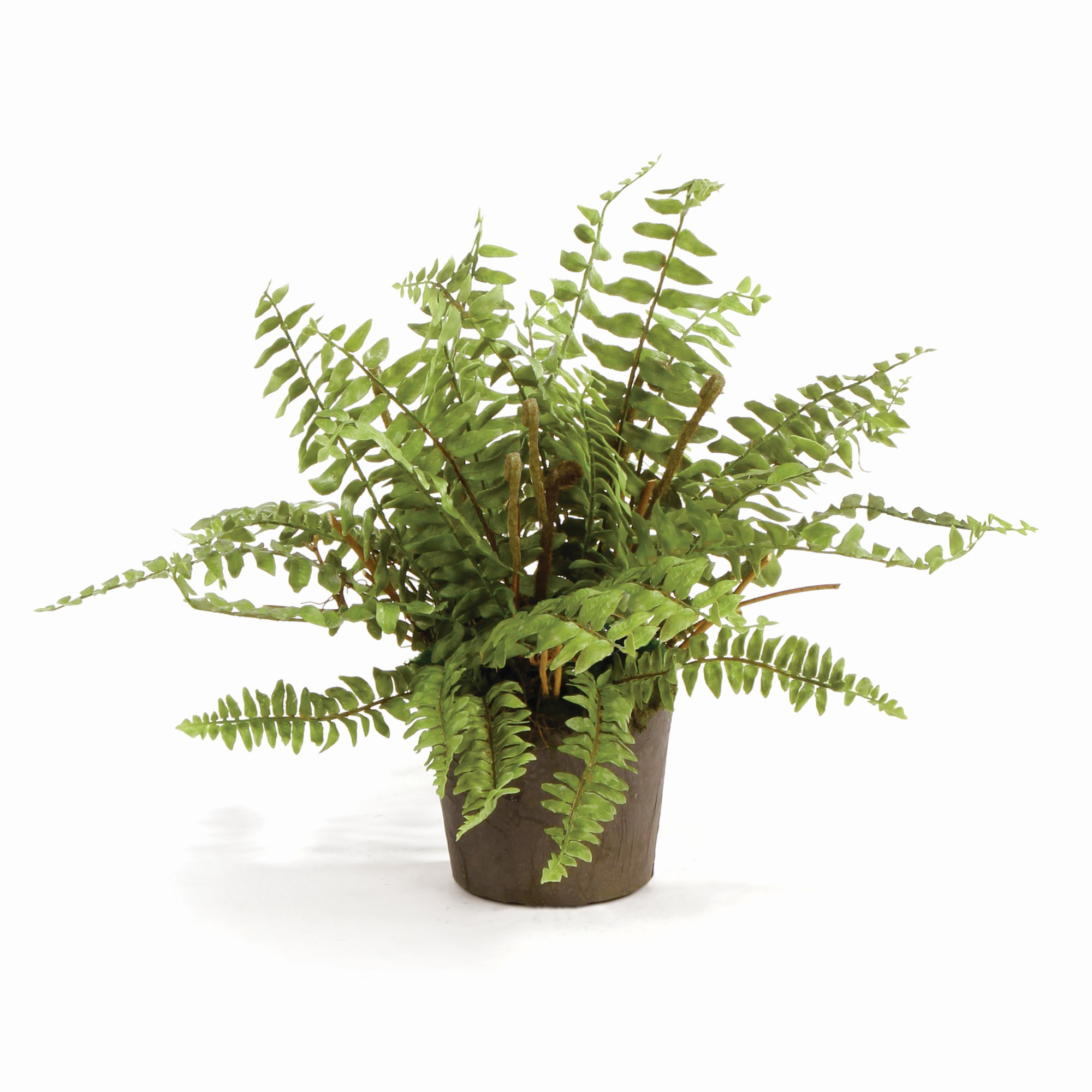Faux Boston Fern Drop-In, 12