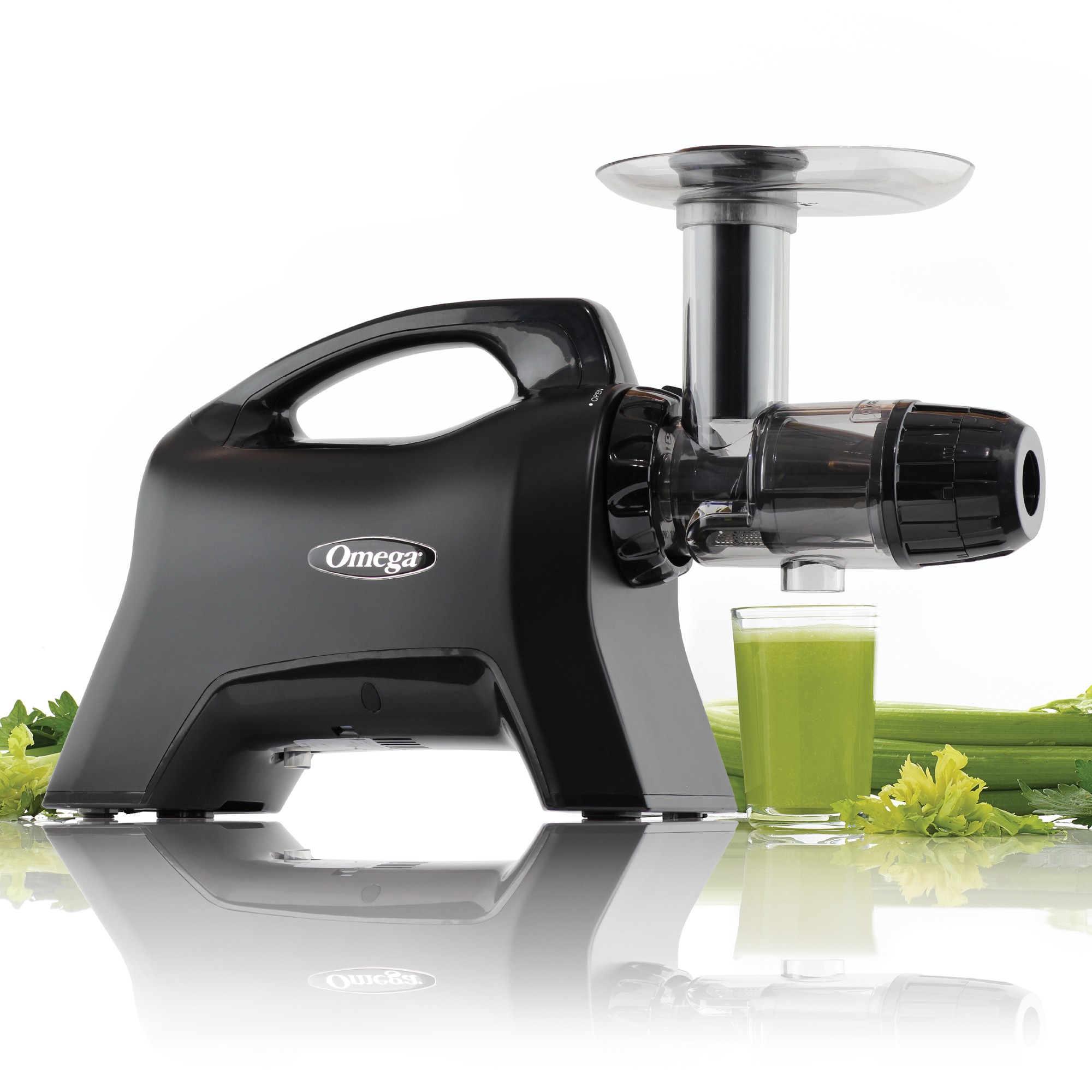 Omega Horizontal Low-Speed Nutrition System