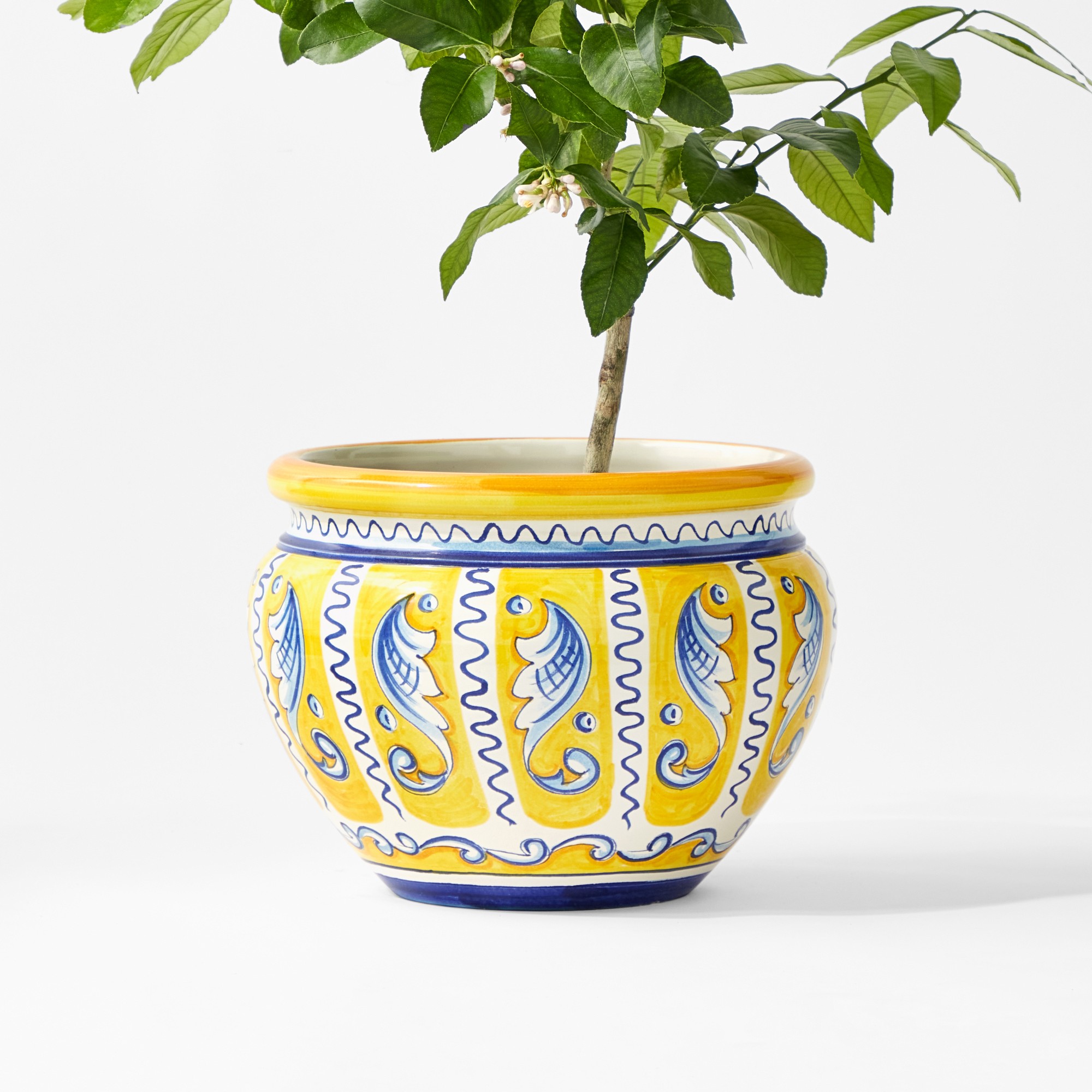 Italian Hand-Painted Planter Collection