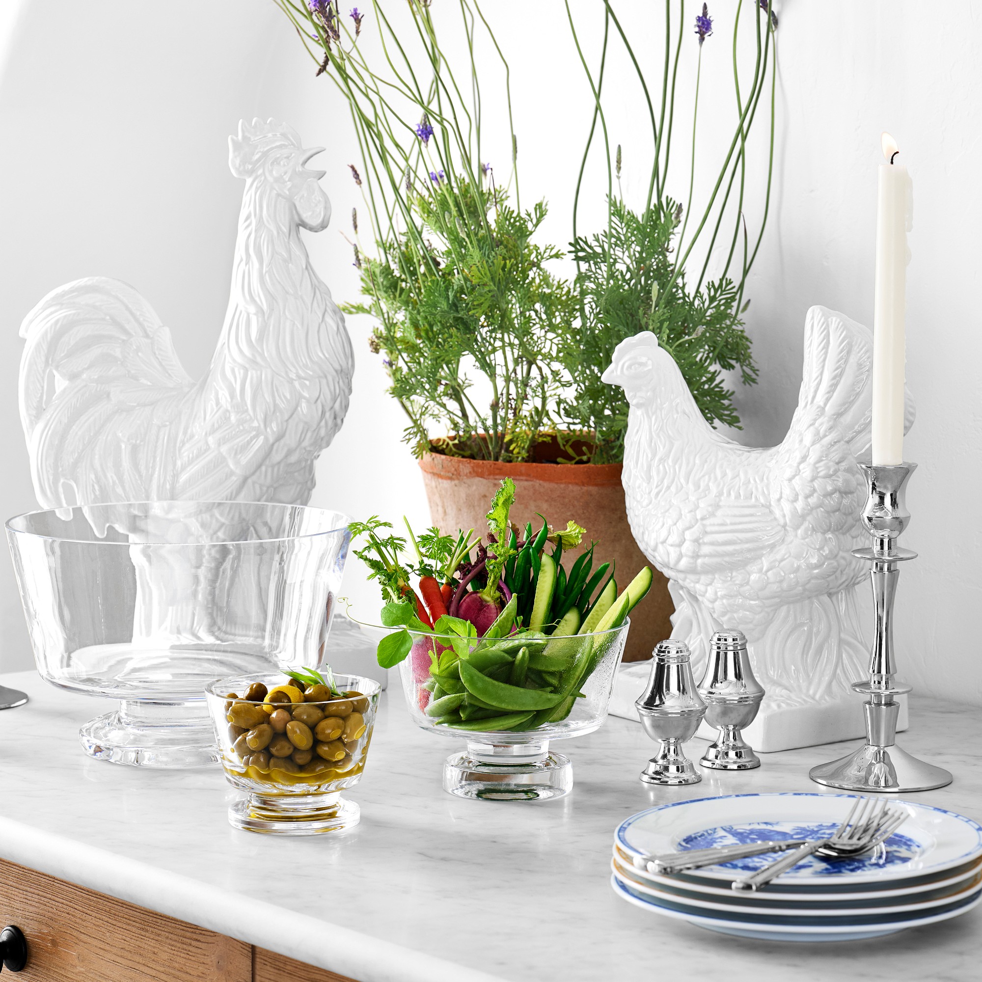 Pillivuyt French Toile Porcelain Salad Plates