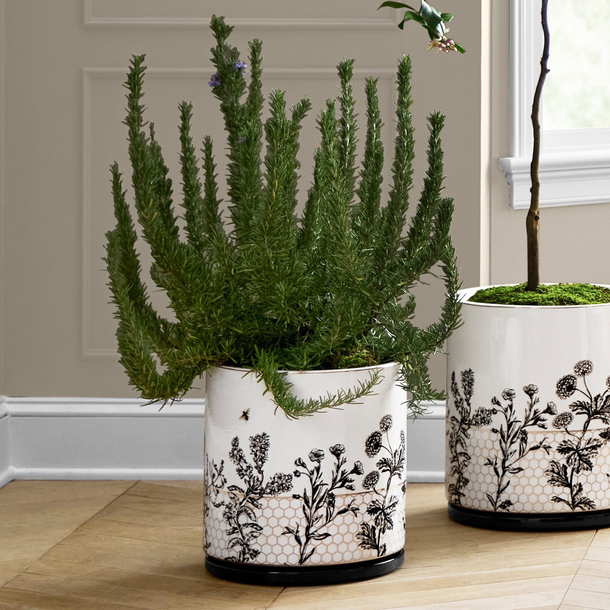 Honeycomb Ceramic Planter Collection