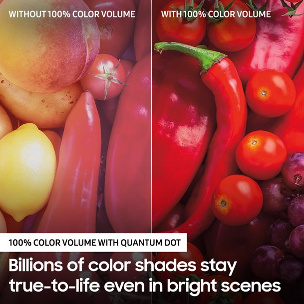 🎄Store Closing Sale📺55