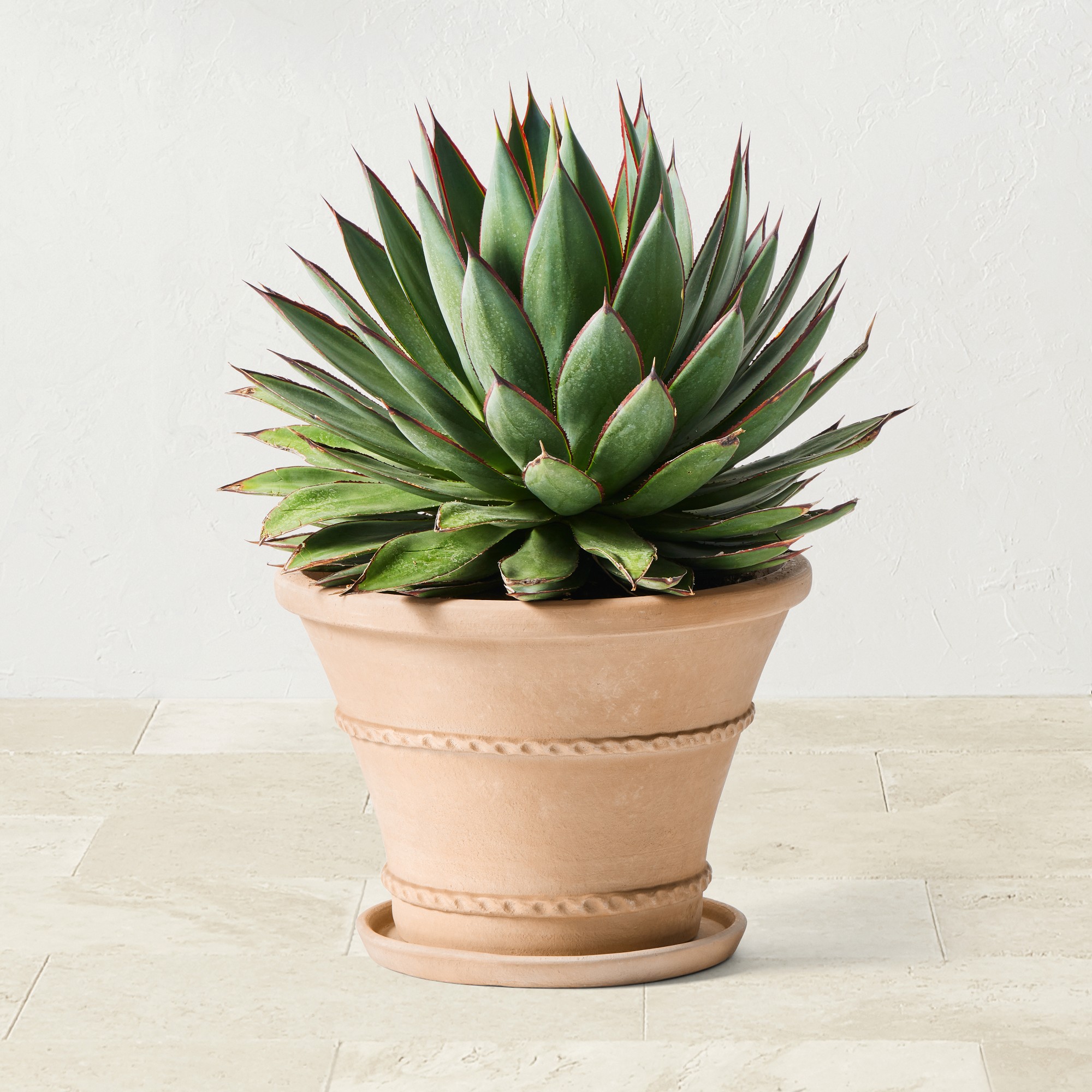 Williams Sonoma Terracotta Rope Planter