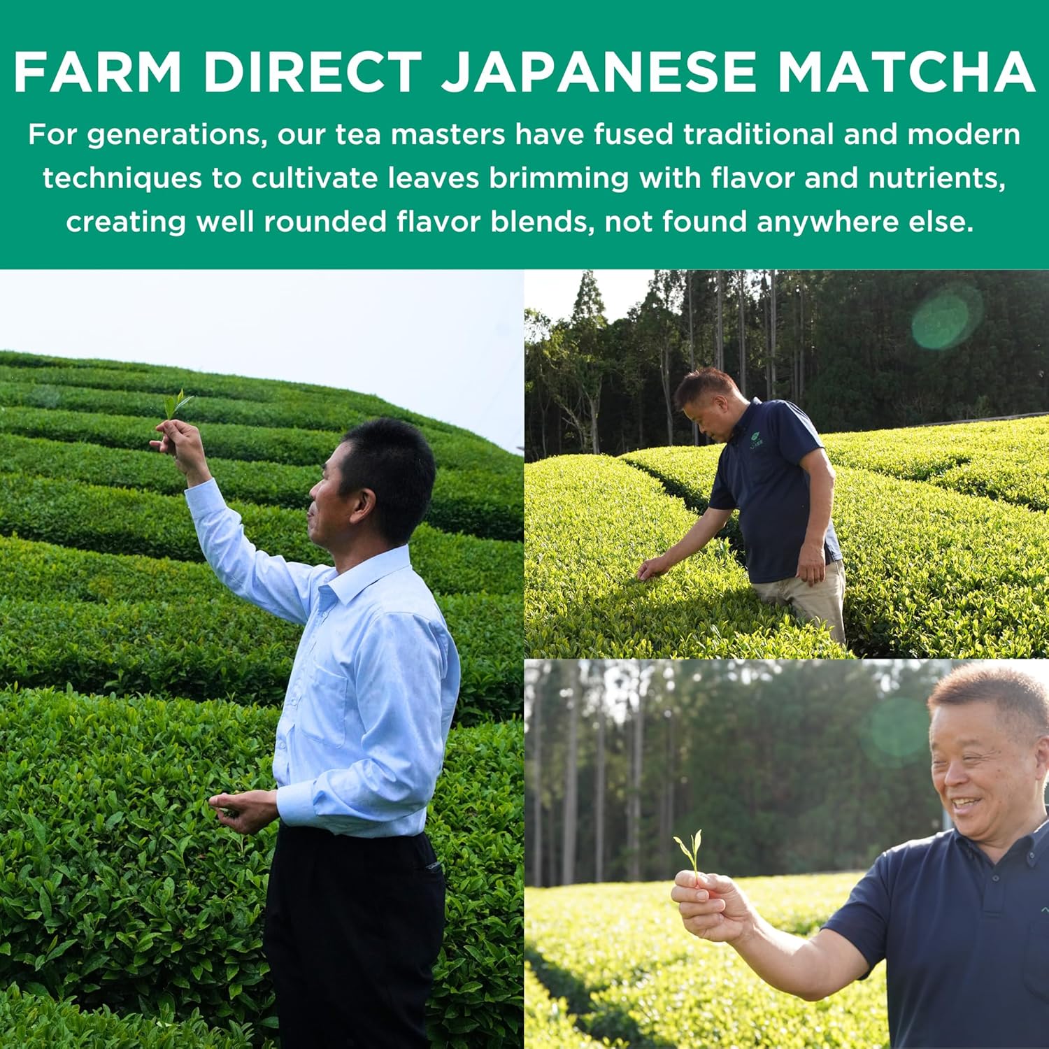 Jade Leaf Matcha Organic Café Style Sweetened Matcha Latte Premium Barista Crafted Mix - Original - Authentically Japanese (5.3 Ounce Pouch)