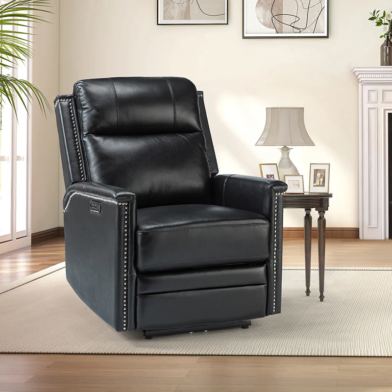 Ottfried Genuine Leather Power Recliner