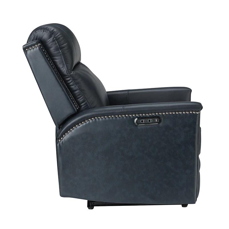 Ottfried Genuine Leather Power Recliner