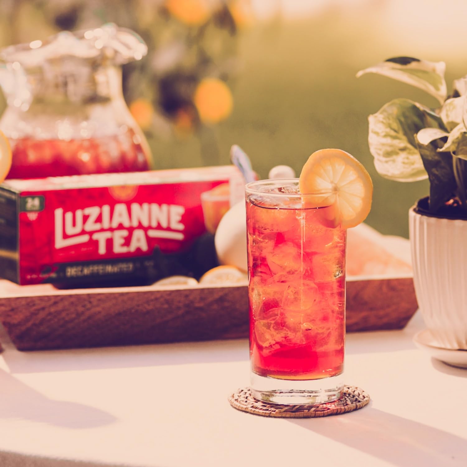 Luzianne Unsweetened Iced Tea Bags, Gallon Size, 24ct Box (Pack of 1)