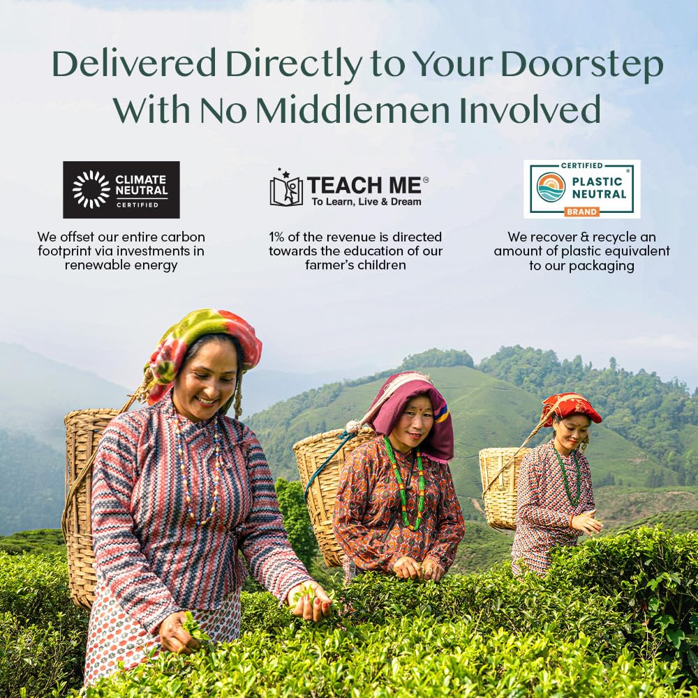 VAHDAM, Organic Turmeric Ginger Herbal Tea Bags (100 Pyramid Tea Bags) Caffeine Free, Non GMO, Gluten Free | 100% Pure Herbal Blend - Savory & Spicy | Plant-Based Tea Bags | Resealable Ziplock Pouch