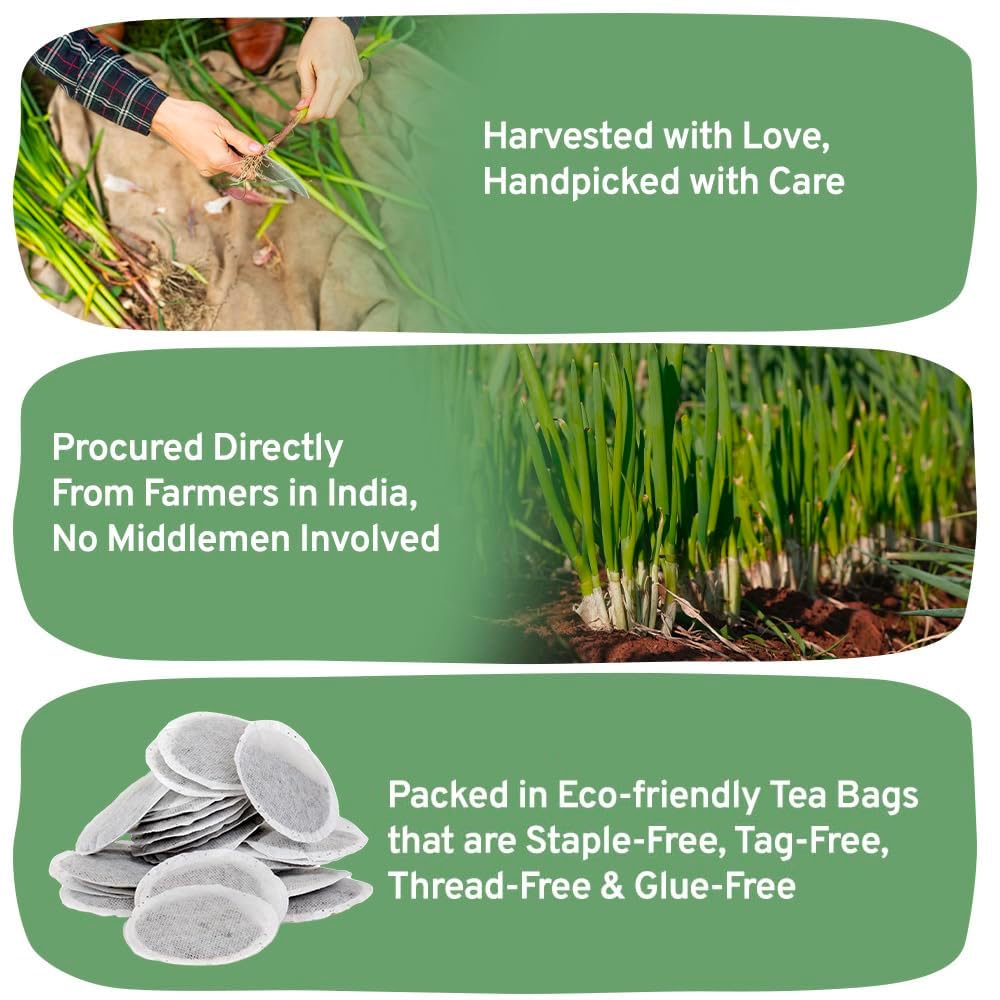 HANDPICK, Peppermint Tea, Eco-Conscious Tea Bags - 100 Count | Caffeine Free, Non-GMO | Minty, Fresh & Cool flavor | Direct From Source