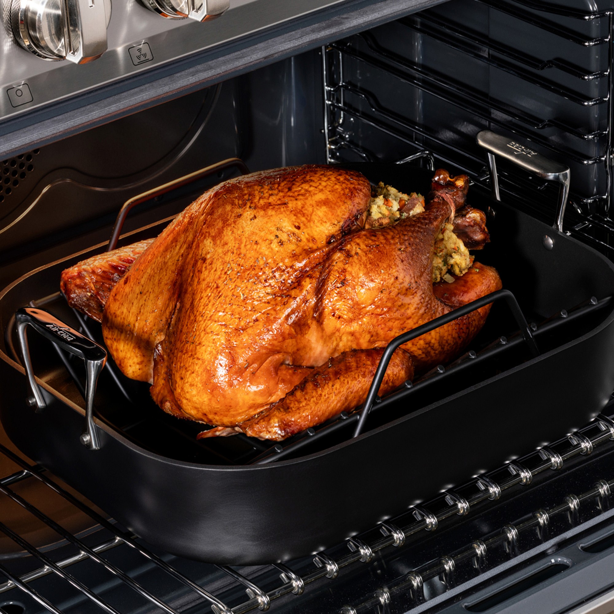All-Clad NS™ Pro Nonstick Roaster with Rack