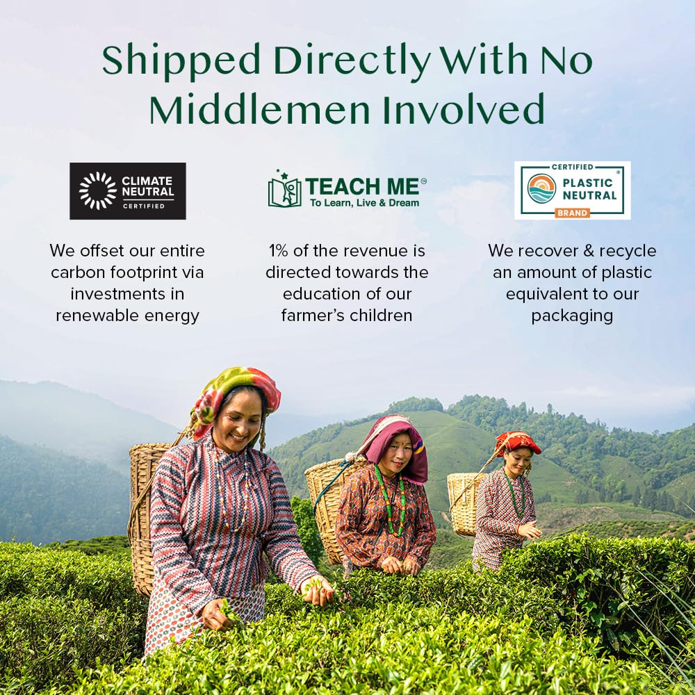 VAHDAM, Organic Turmeric Ginger Herbal Tea Bags (100 Pyramid Tea Bags) Caffeine Free, Non GMO, Gluten Free | 100% Pure Herbal Blend - Savory & Spicy | Plant-Based Tea Bags | Resealable Ziplock Pouch