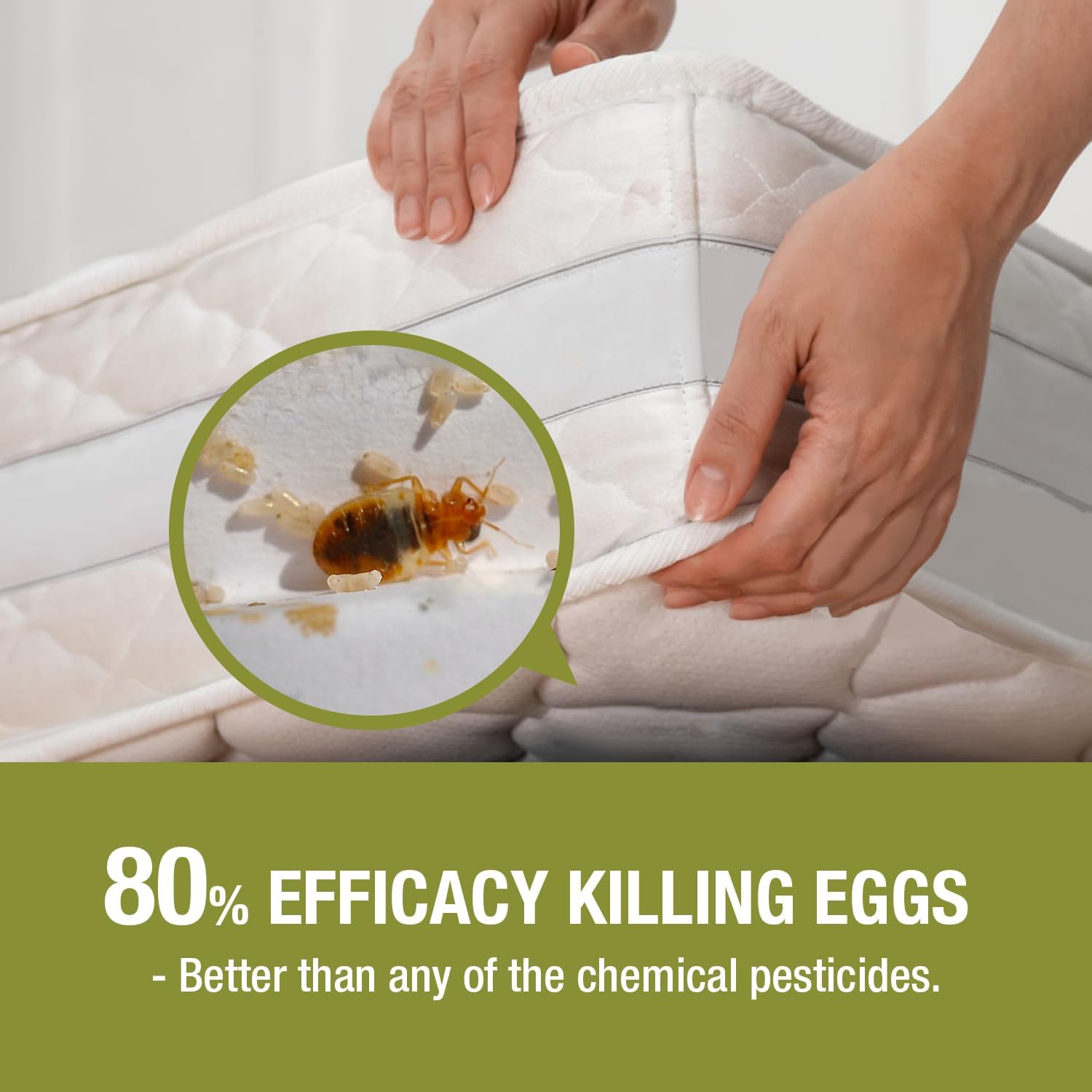 Bed Bug Killer 16 oz EcoVenger by EcoRaider, 100% Kill Efficacy, Bedbugs & Mites, Eggs & The Resistant, Lasting Protection, USDA BIO-Certified, Plant Extract Based & Non-Toxic, Child & Pet Safe