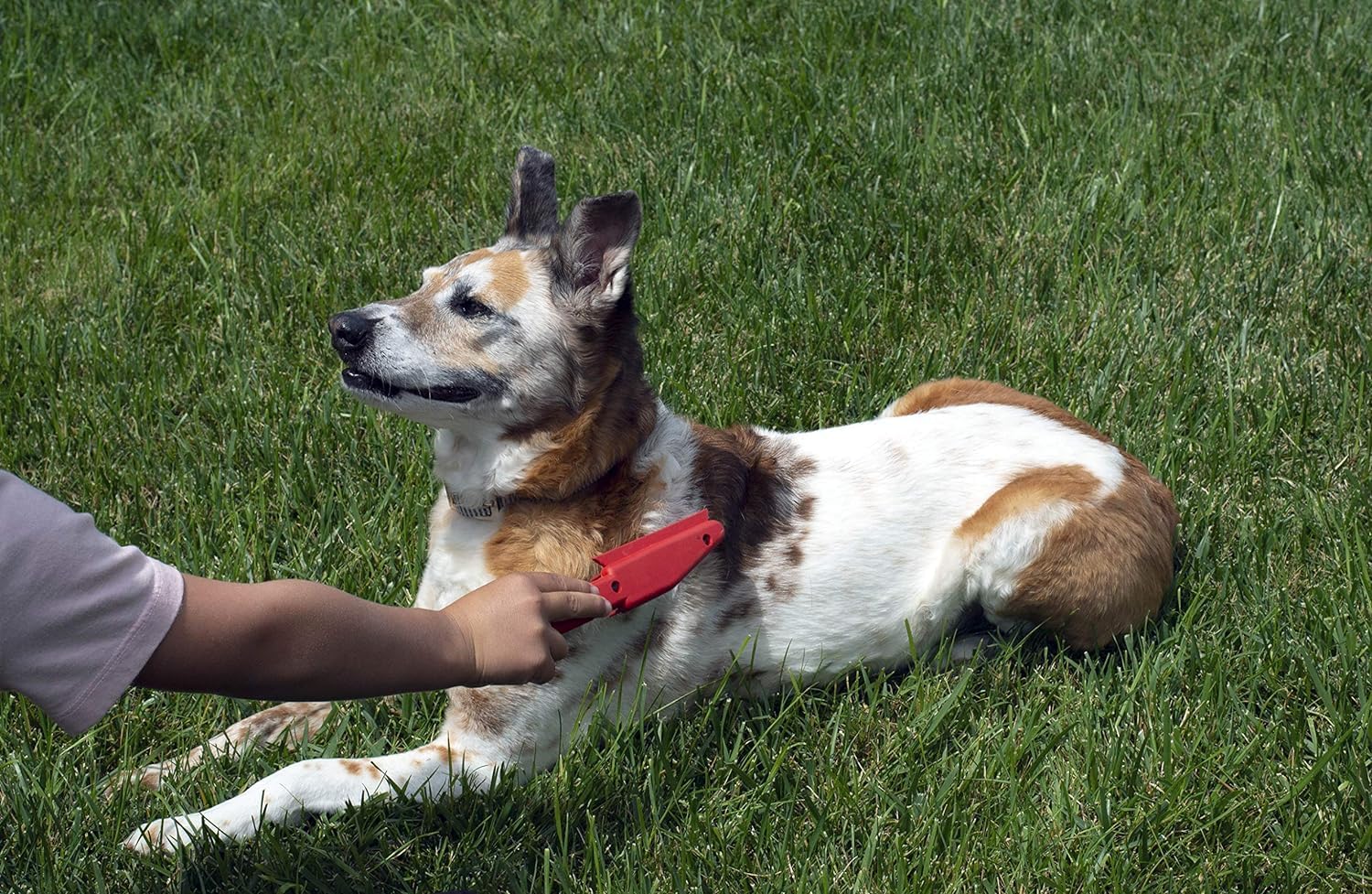 FURemover Original Indoor Pet Hair Rubber Broom with Carpet Rake and Squeegee, Black and Yellow