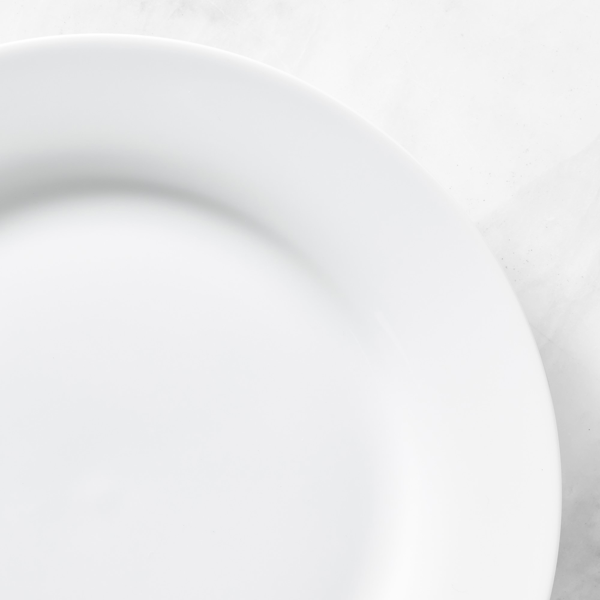 Open Kitchen by Williams Sonoma Dinner Plates