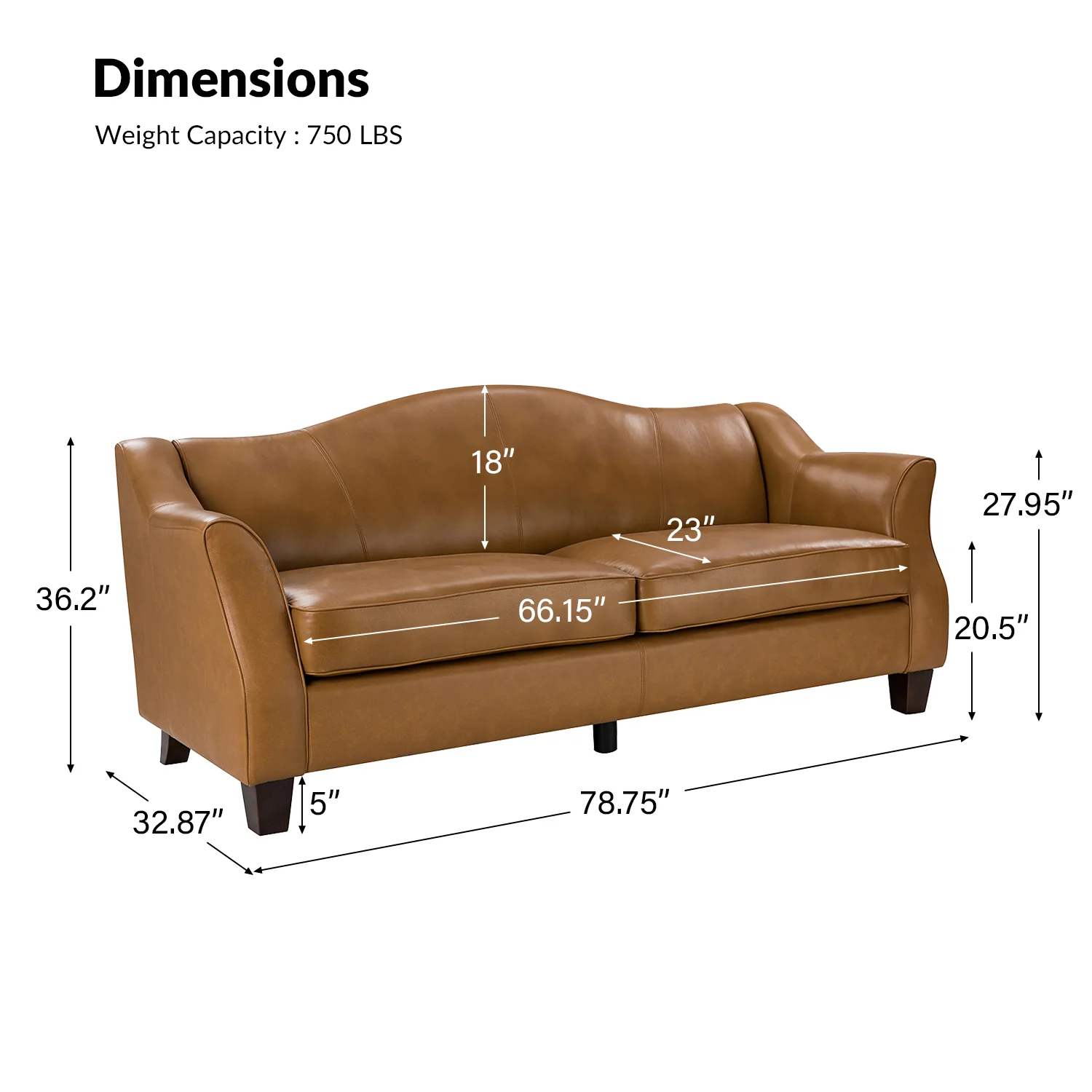 Hugo Traditional Style Curved Genuine Leather Elegant Sofa