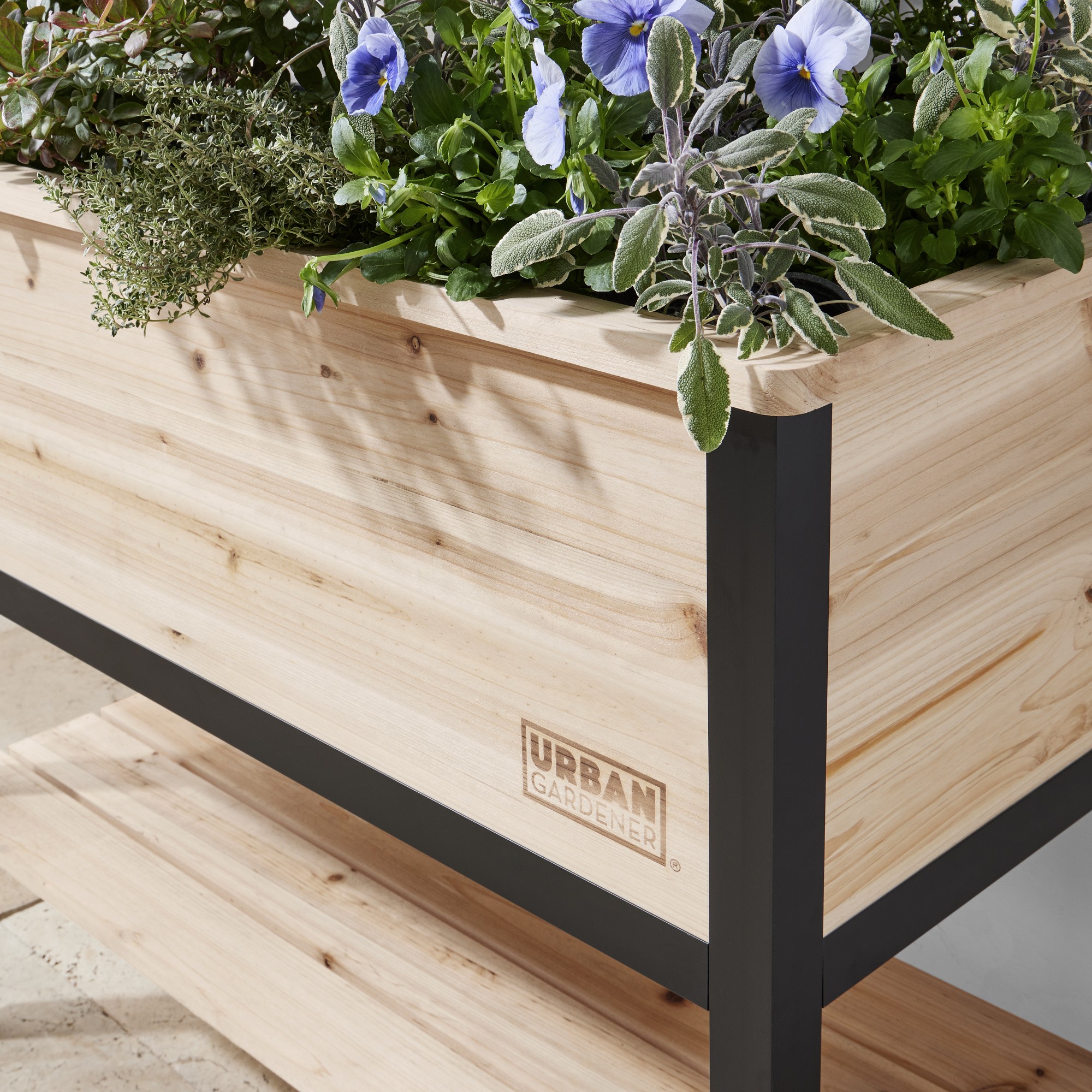 Deluxe Cedar Elevated Raised Garden with Steel Trellis, 4' x 2'