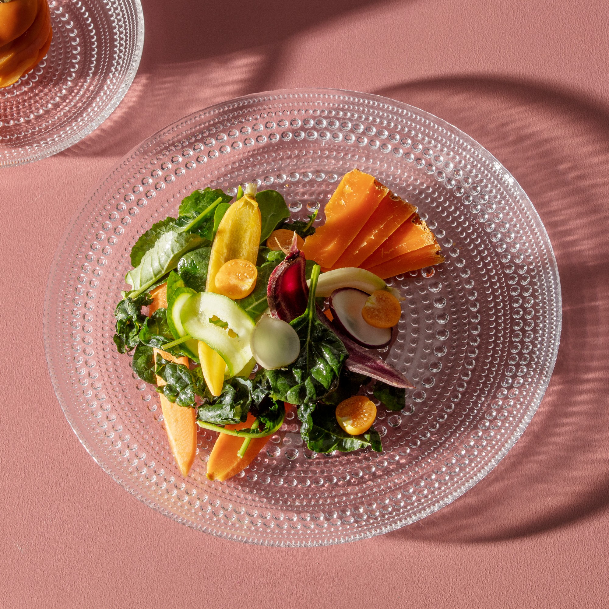 Fortessa Jupiter Dinner Plates, Set of 4