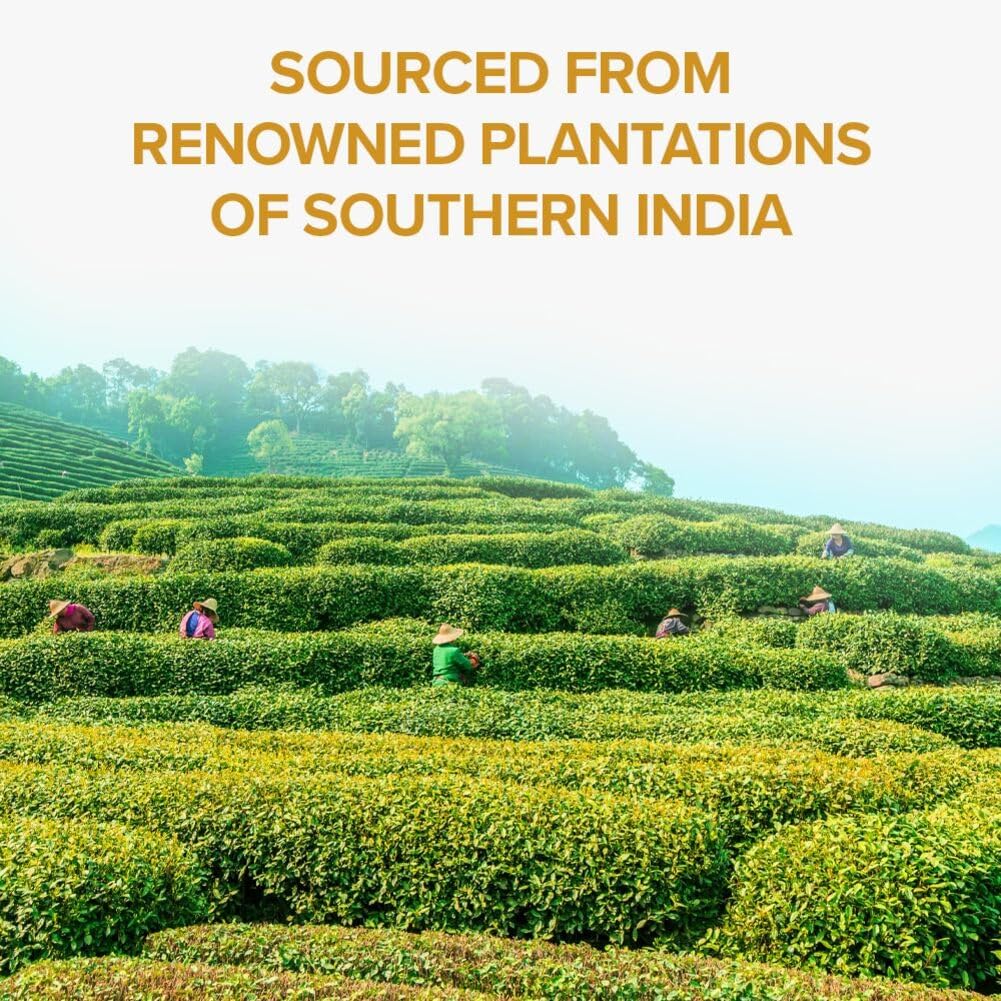 VAHDAM, Organic Turmeric Ginger Herbal Tea Bags (100 Pyramid Tea Bags) Caffeine Free, Non GMO, Gluten Free | 100% Pure Herbal Blend - Savory & Spicy | Plant-Based Tea Bags | Resealable Ziplock Pouch