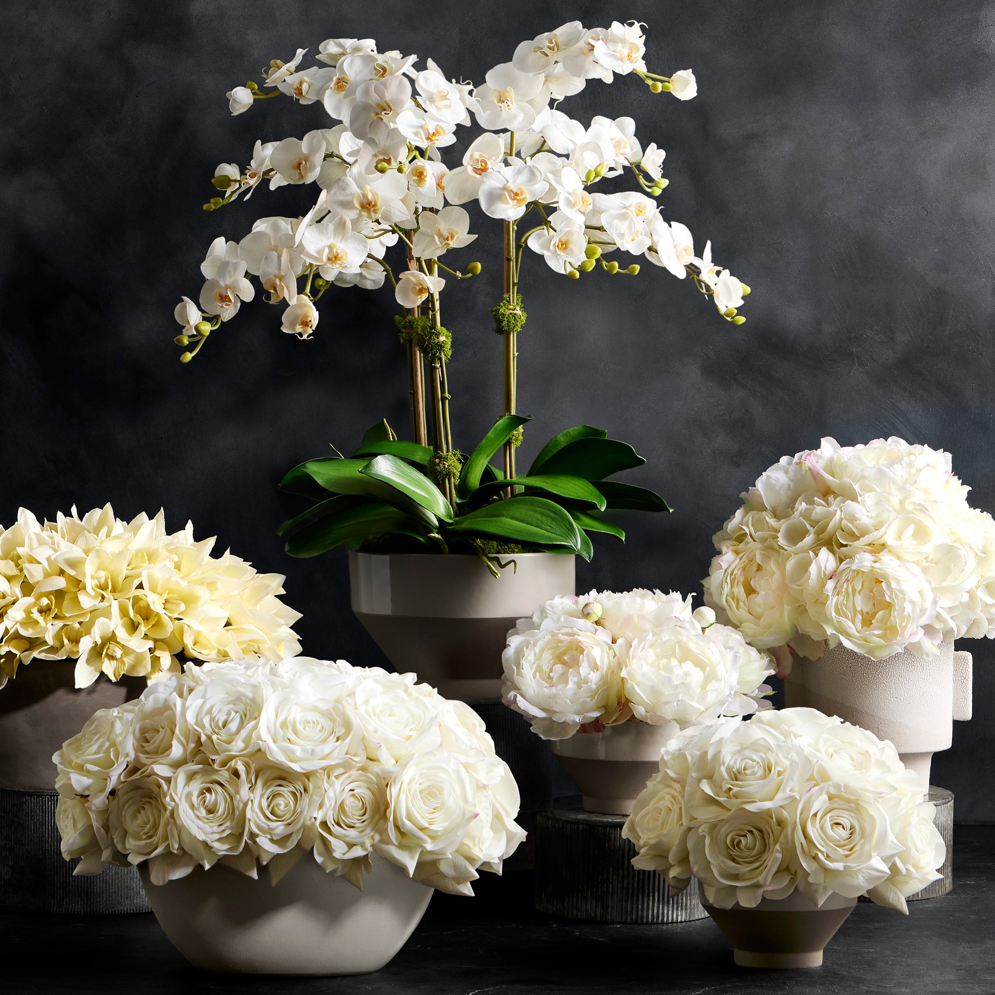 Jeff Leatham x Williams Sonoma Real Touch Faux White Phalaenopsis Orchid in Tapered Bowl, 25