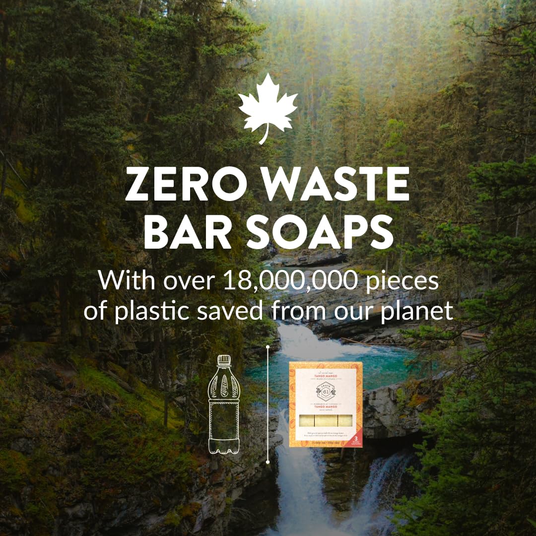 Handmade Vegan Natural Bar Soap Cold Pressed For Face And Body, With Premium Essential Oils, Eucalyptus & Peppermint For Men And Women 3 Pack (Lavender)