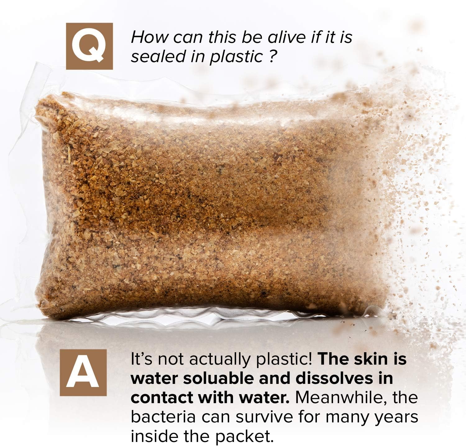 Septic Tank Treatment - 1 Year Supply of Septic Safe Dissolvable Easy Flush Live Bacteria Packets (12 Count) - Best Way to Prevent Expensive Sewage Backups - Made in USA