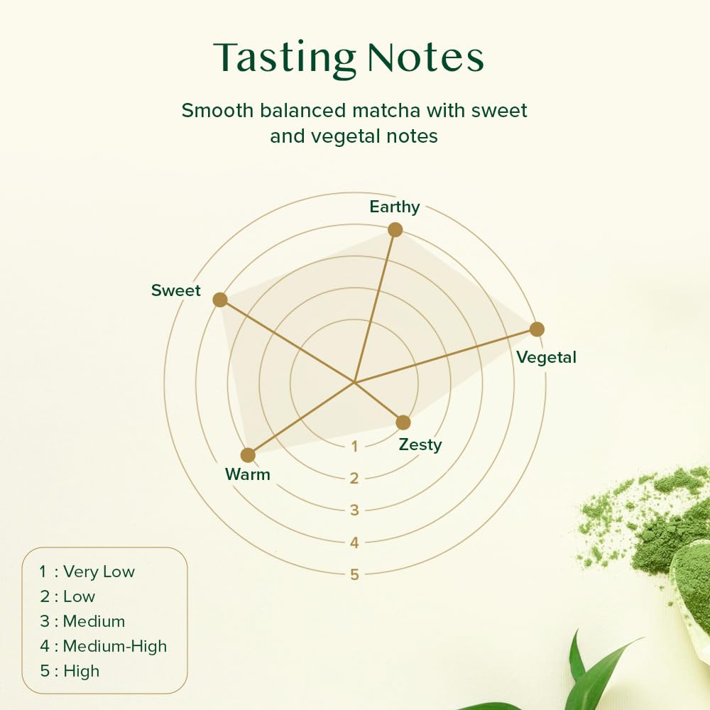 VAHDAM, Organic Turmeric Ginger Herbal Tea Bags (100 Pyramid Tea Bags) Caffeine Free, Non GMO, Gluten Free | 100% Pure Herbal Blend - Savory & Spicy | Plant-Based Tea Bags | Resealable Ziplock Pouch