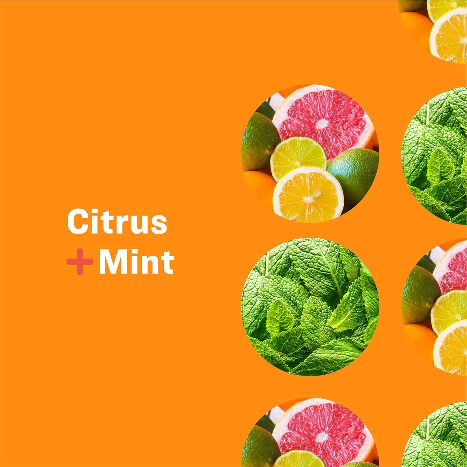 Everyone 3-in-1 Soap, Body Wash, Bubble Bath, Shampoo, 32 Ounce (Pack of 2), Lavender and Aloe, Coconut Cleanser with Organic Plant Extracts and Pure Essential Oils (Packaging May Vary)