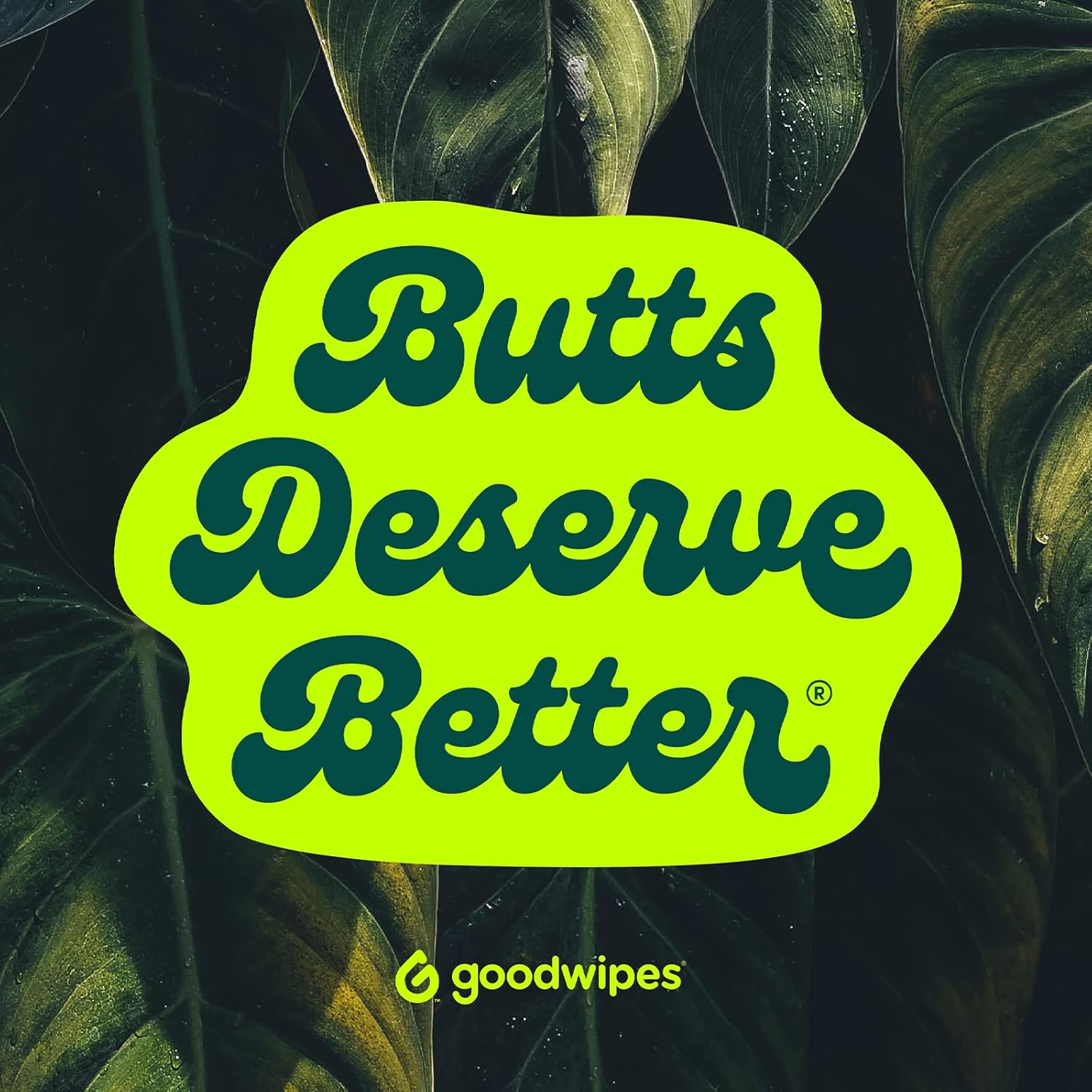 Goodwipes Flushable & Plant-Based Wipes with Botanicals | Dispenser for At-Home Use | Shea-Coco with Aloe Septic and Sewer Safe | 360 count (6 packs) - Biggest Adult Wipes