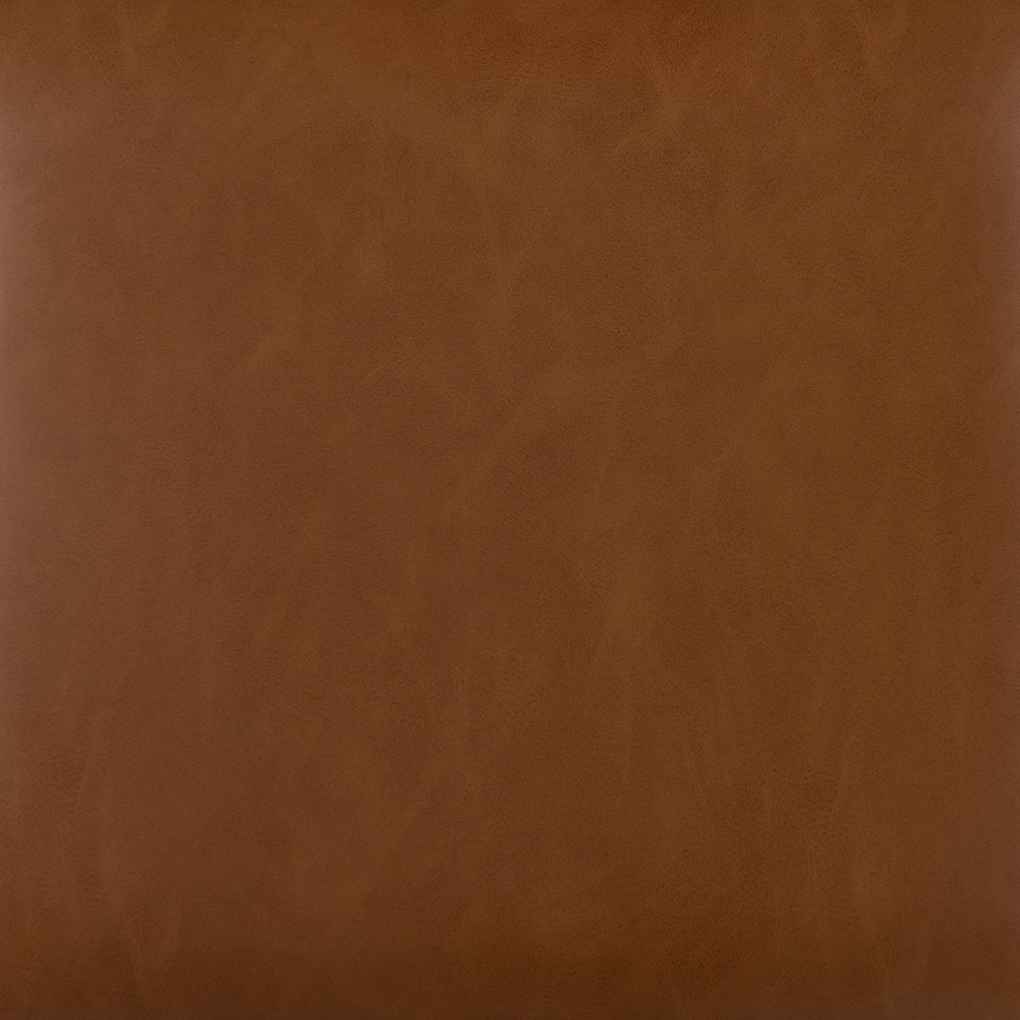 Anza Upholstered Dining Chair