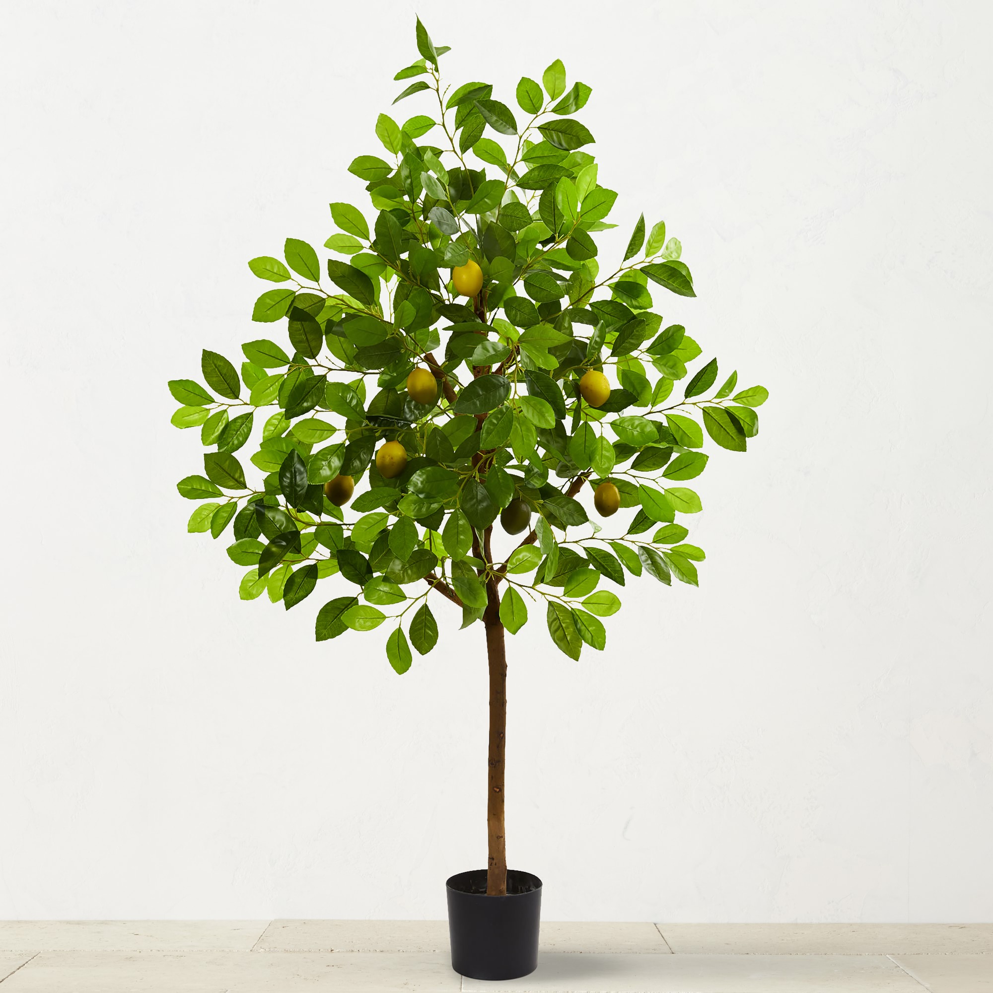 Faux Lemon Tree, 3'-5'